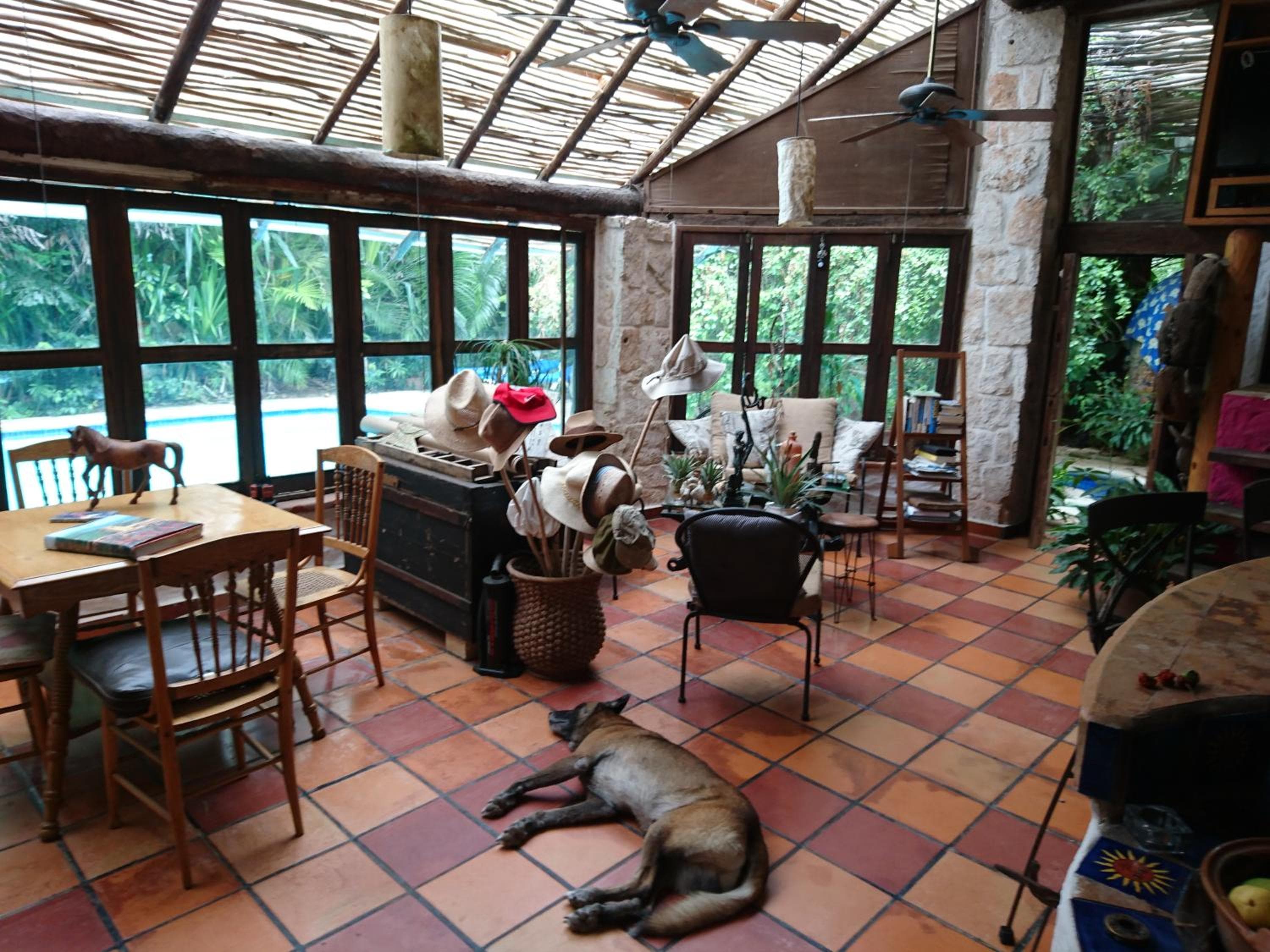 Jungle Lodge CANCUN AEROPUERTO — 21