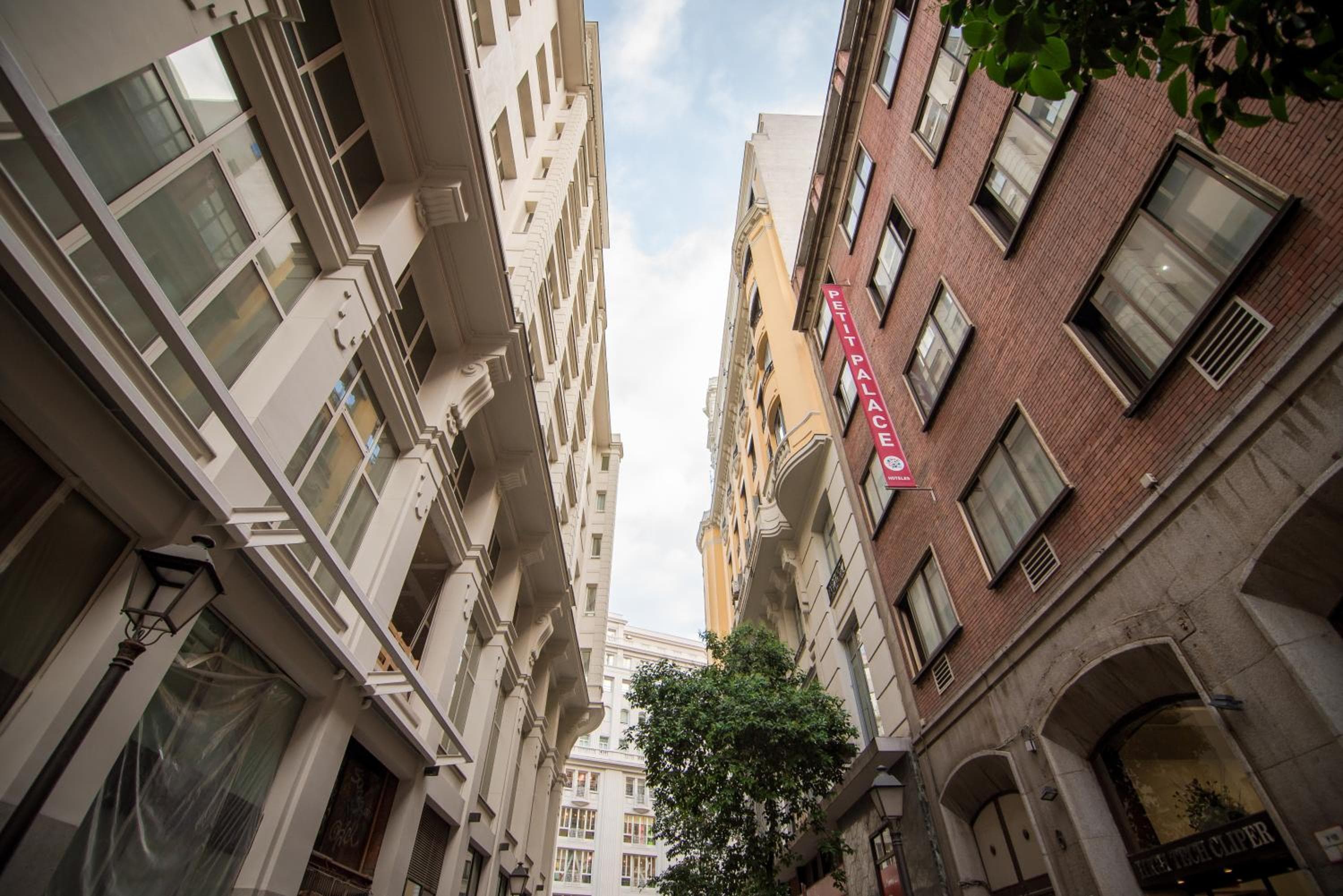 Petit Palace Cliper-Gran Vía — 3