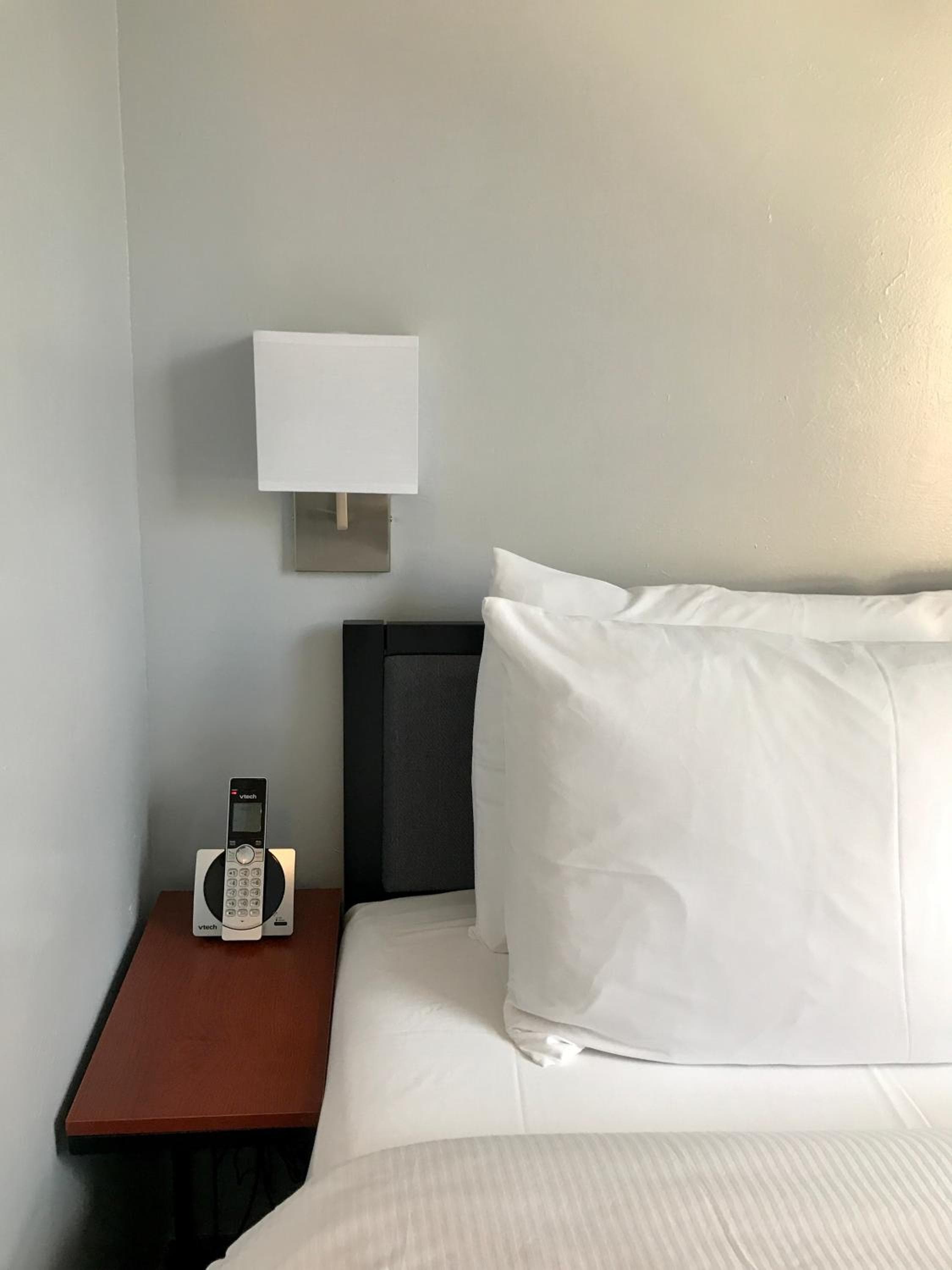 Hotel Mimosa — 14