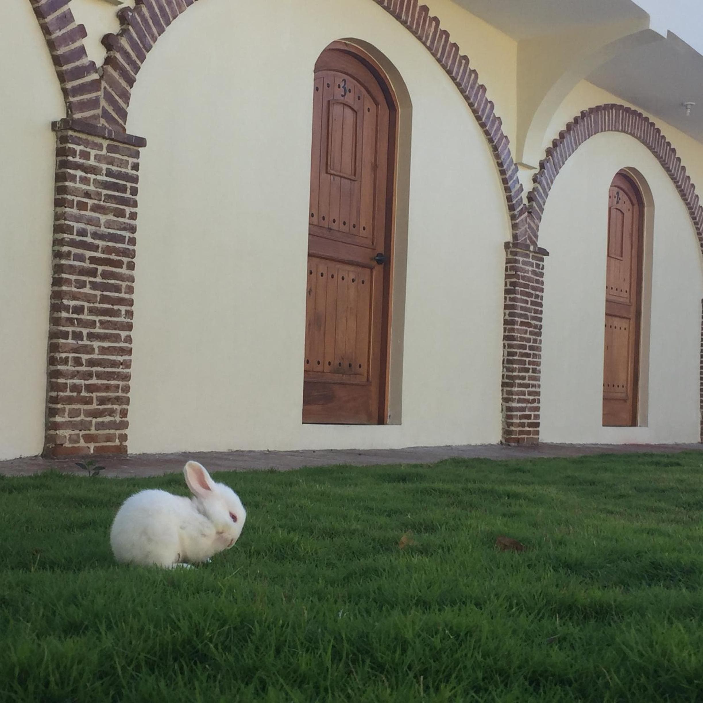 Hotel Yamilí — 23