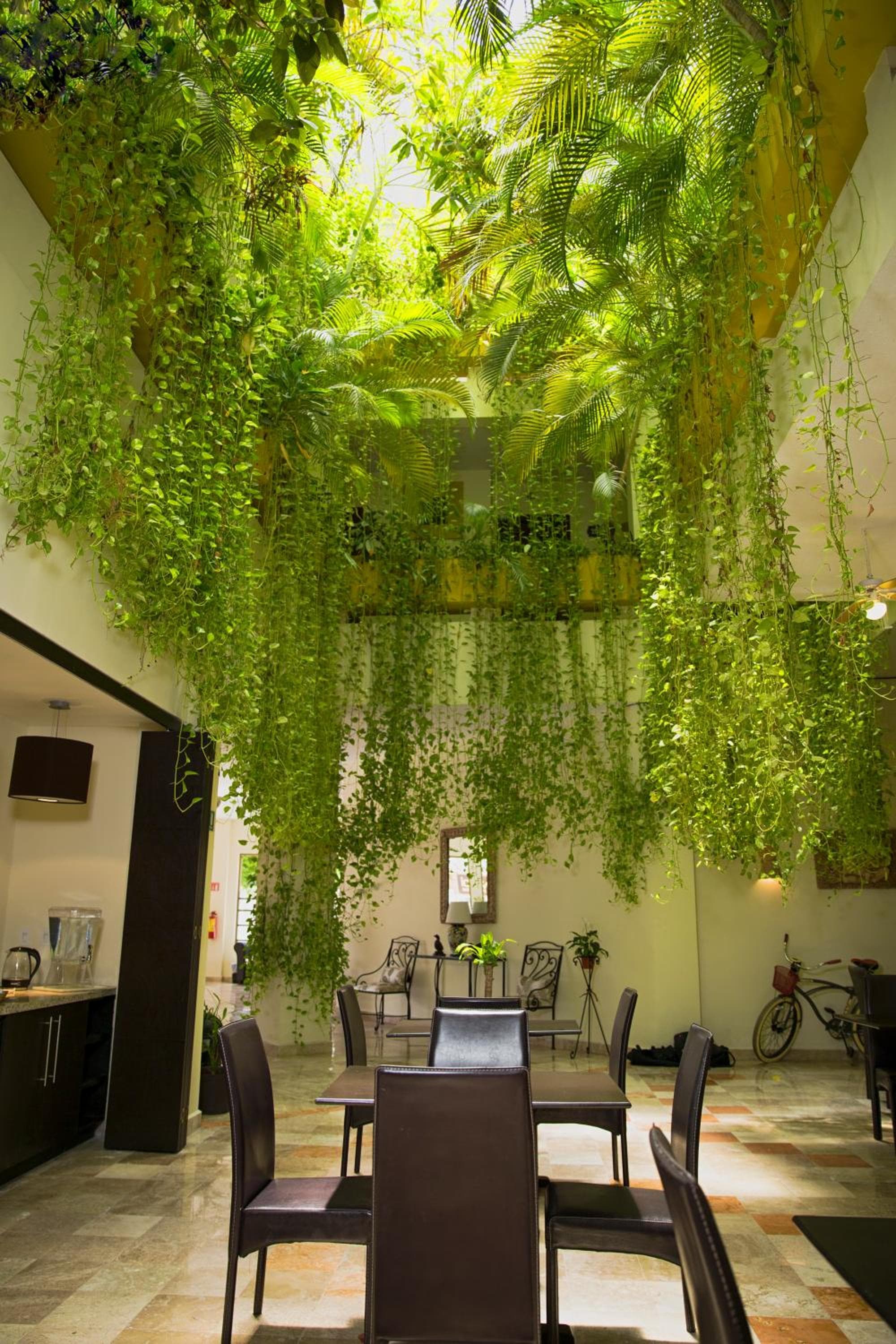 Hotel Los Itzaes vicino alla 5 av — 14