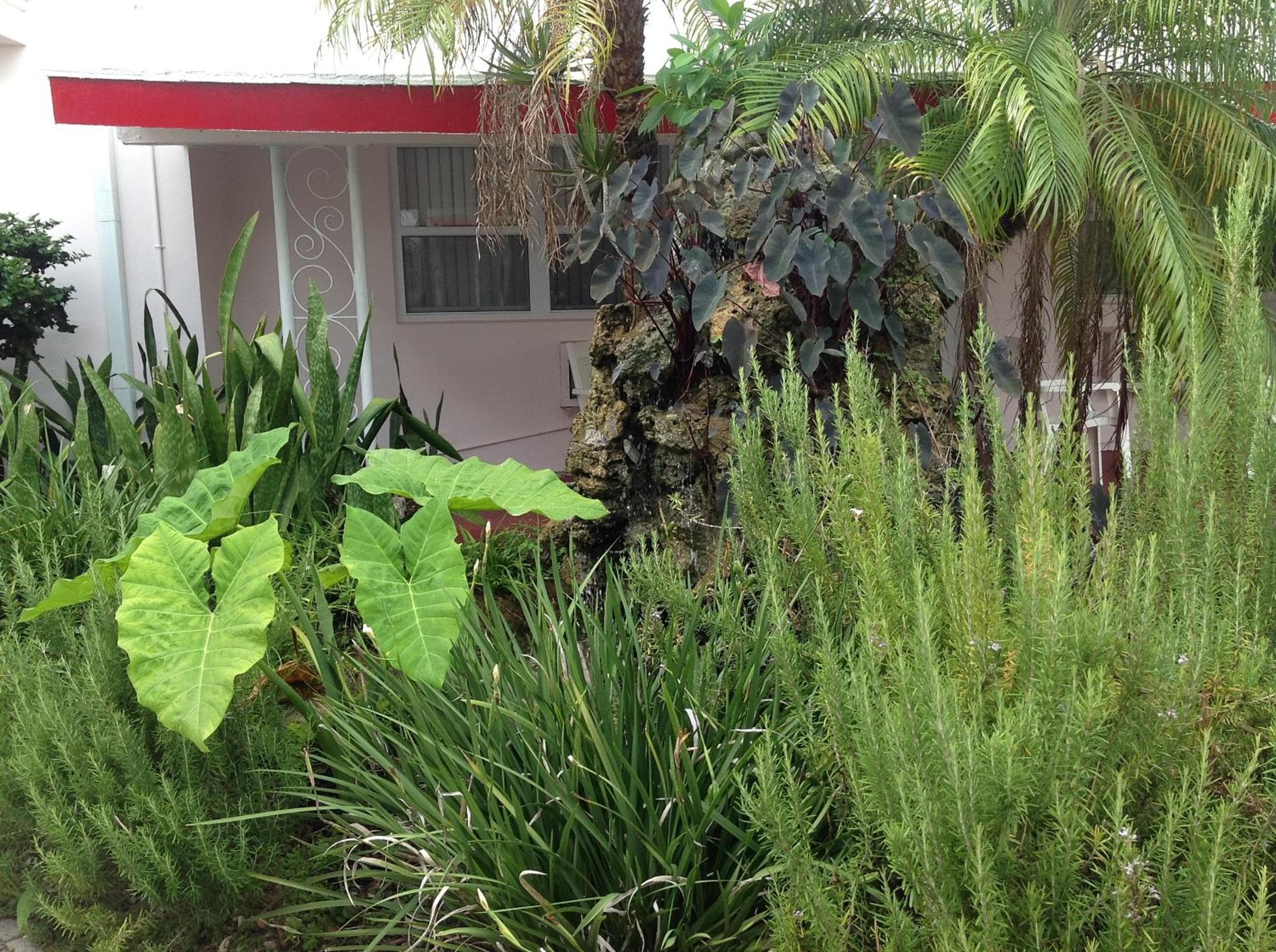 Birch Patio Motel — 12