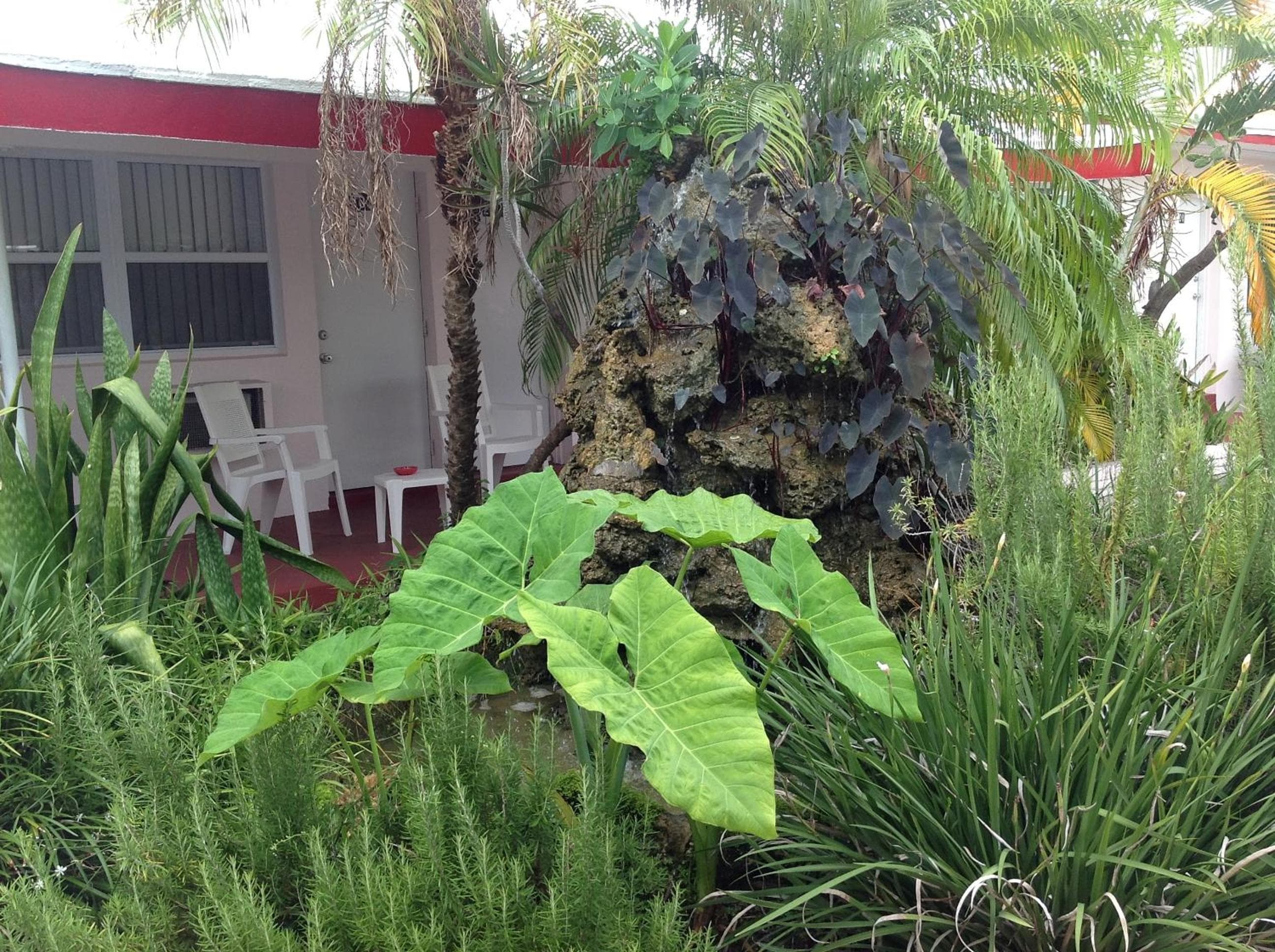 Birch Patio Motel — 2