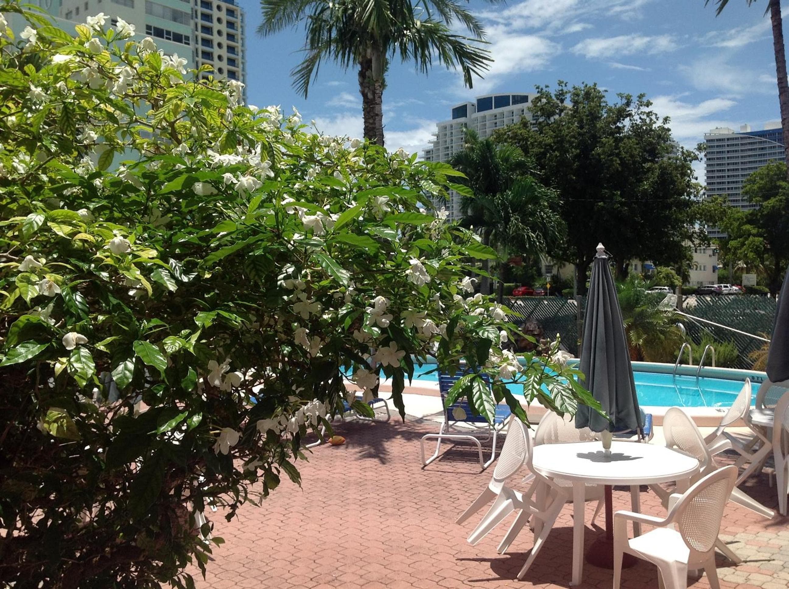 Birch Patio Motel — 6