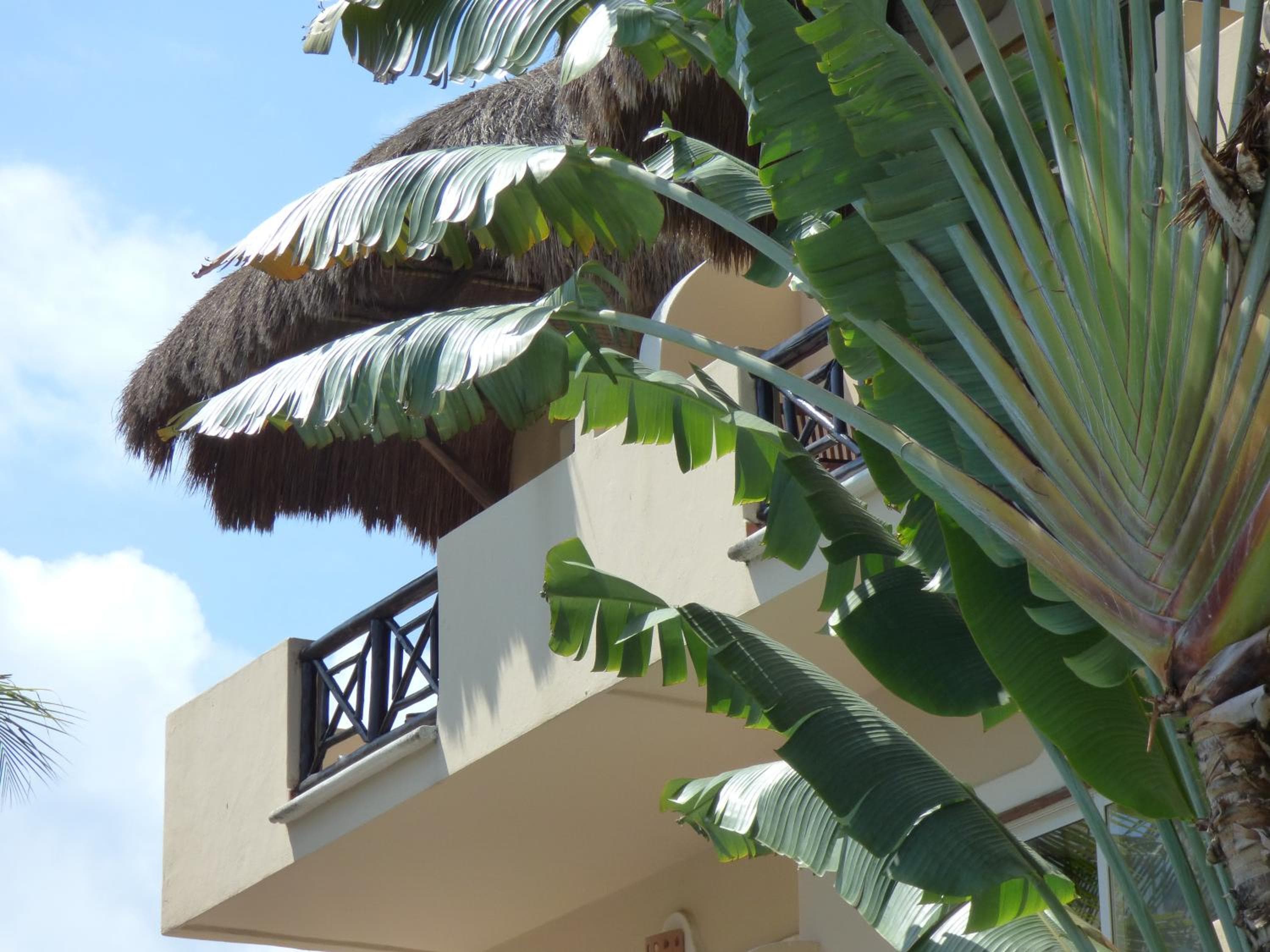 Hotel Riviera Del Sol — 17