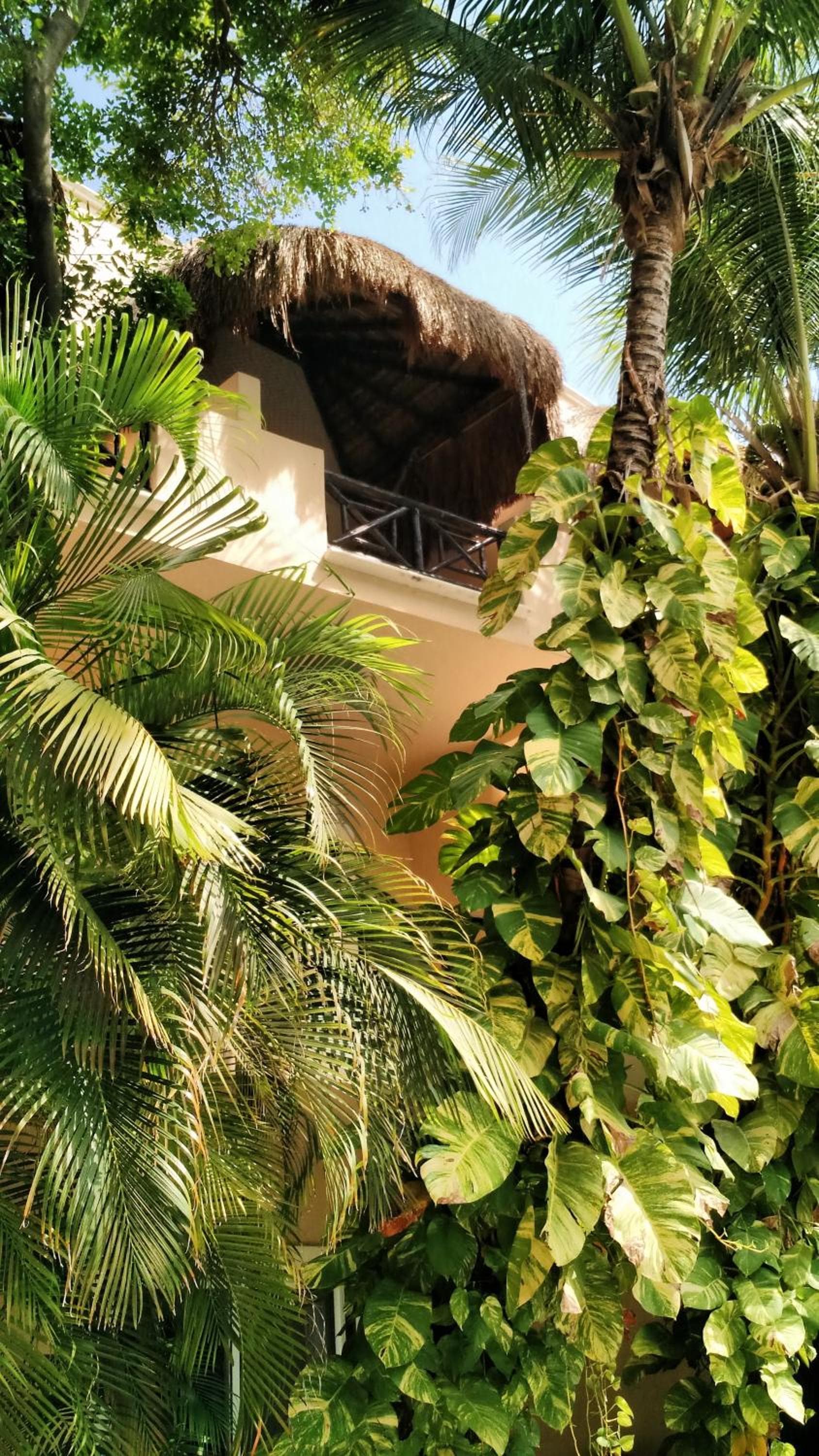 Hotel Riviera Del Sol — 6