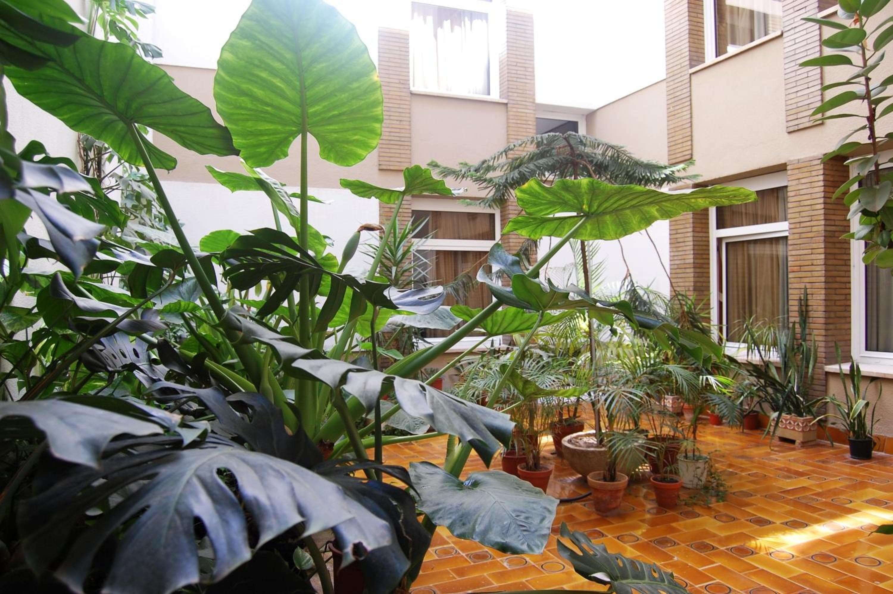 Hotel Pasarela — 23