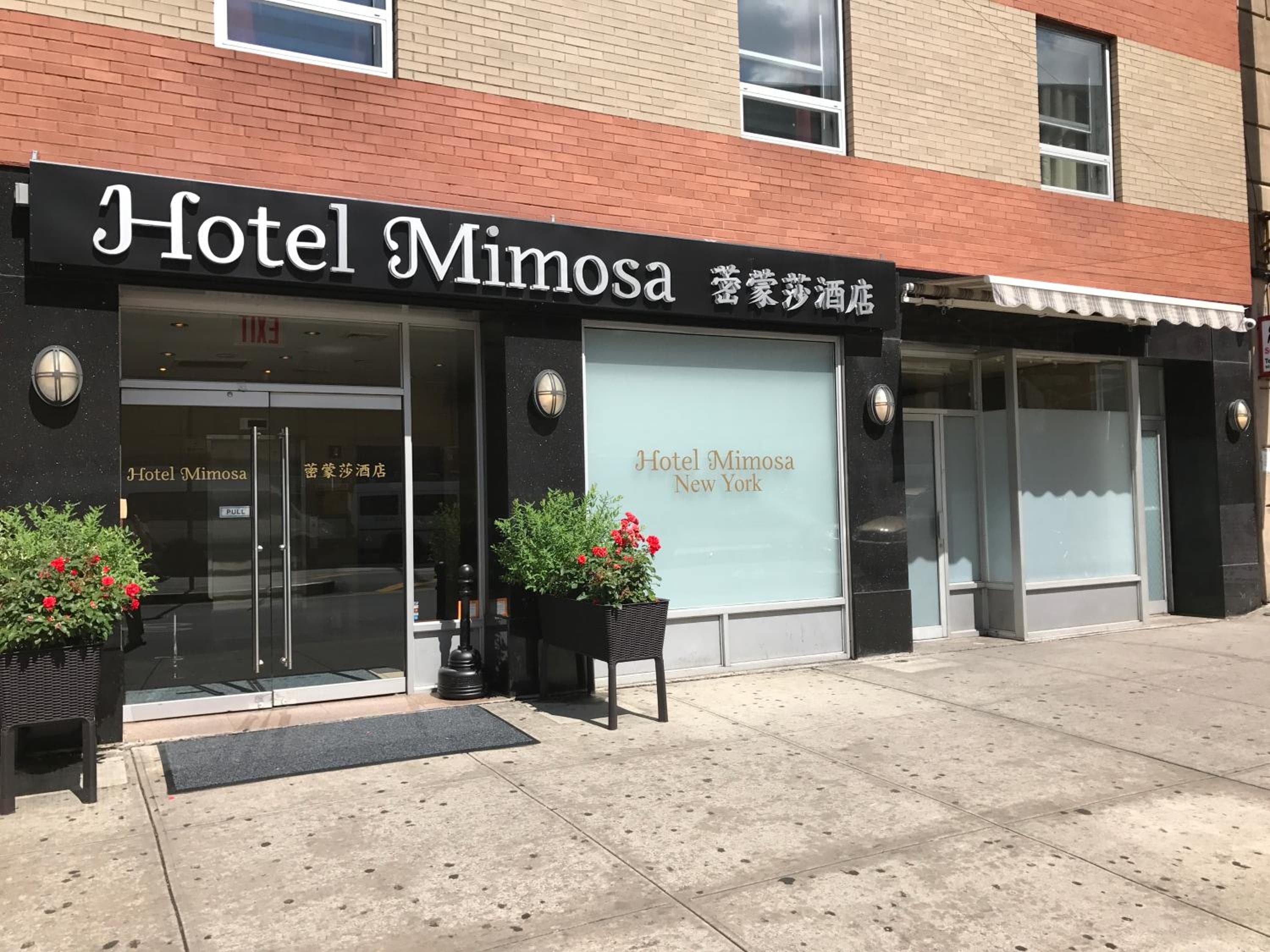 Hotel Mimosa — 2