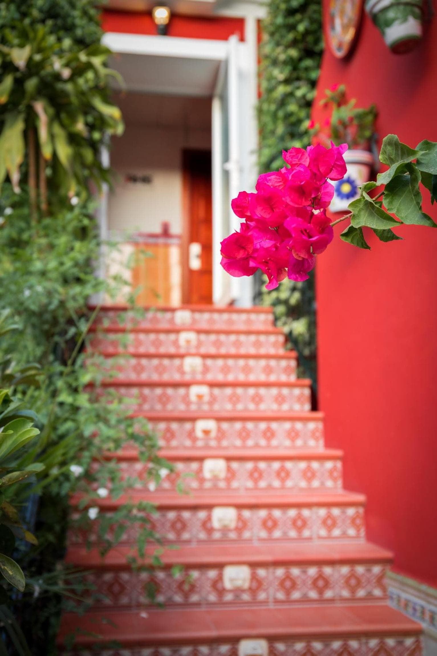Hotel Romerito — 13