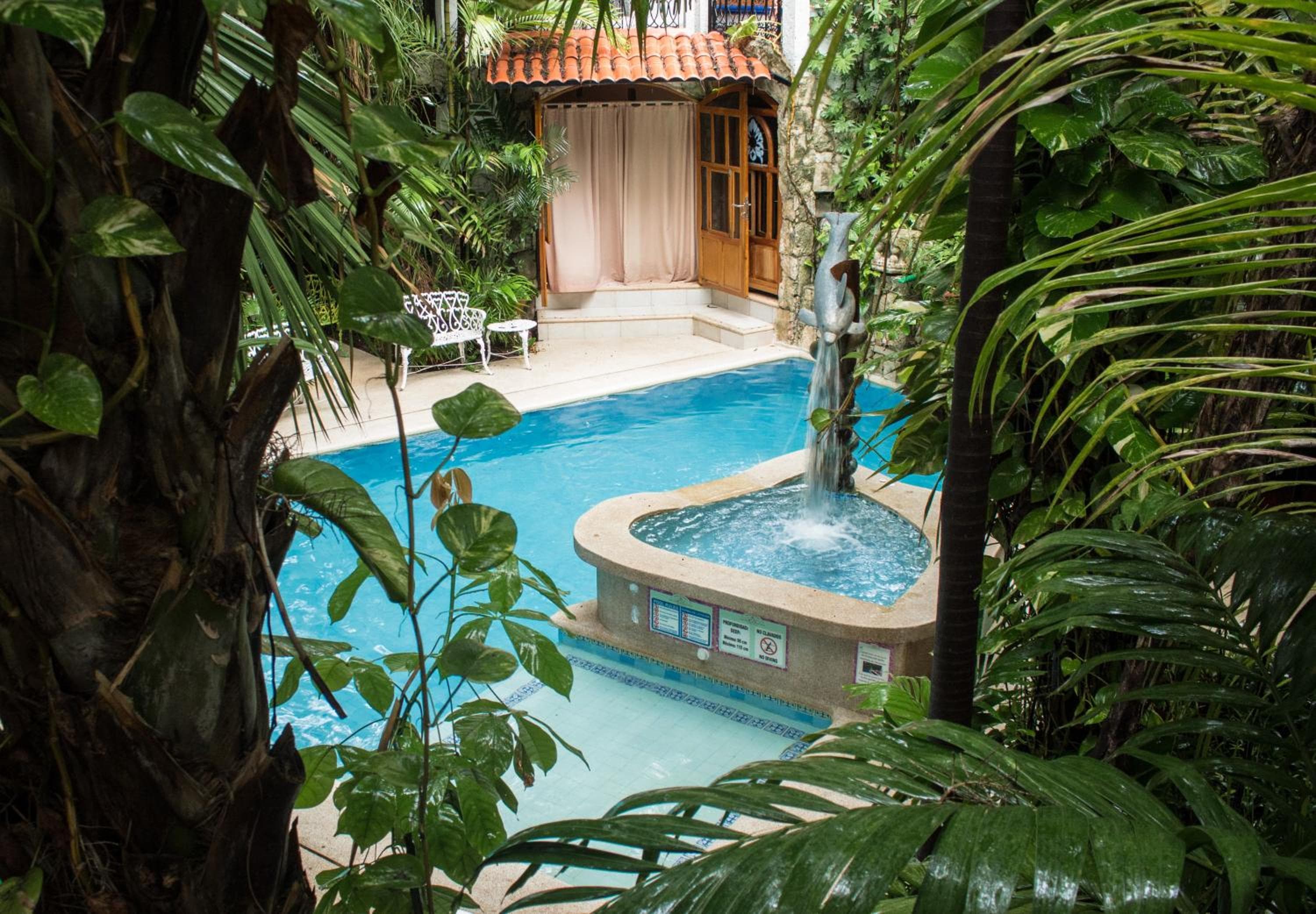 Eco-hotel El Rey del Caribe — 9