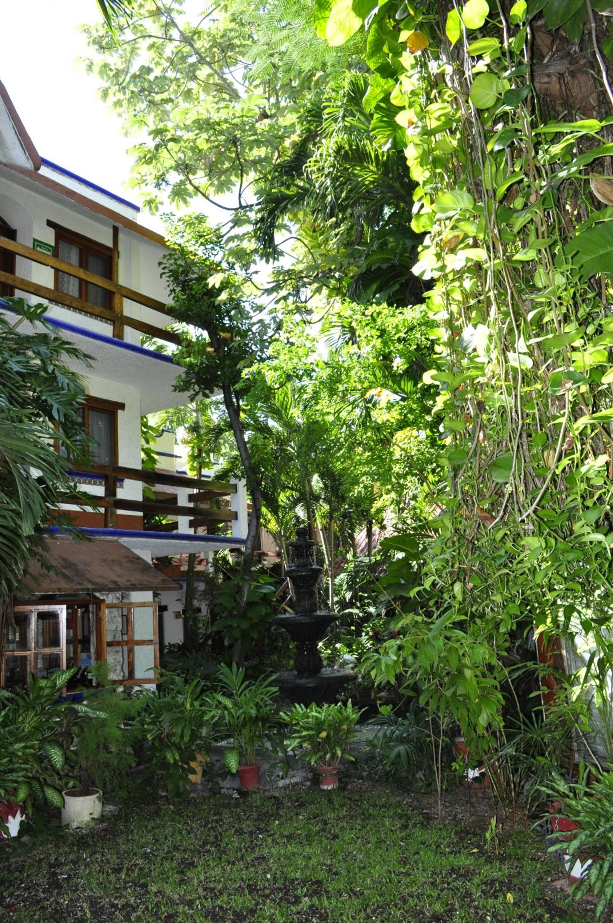 Eco-hotel El Rey del Caribe — 1