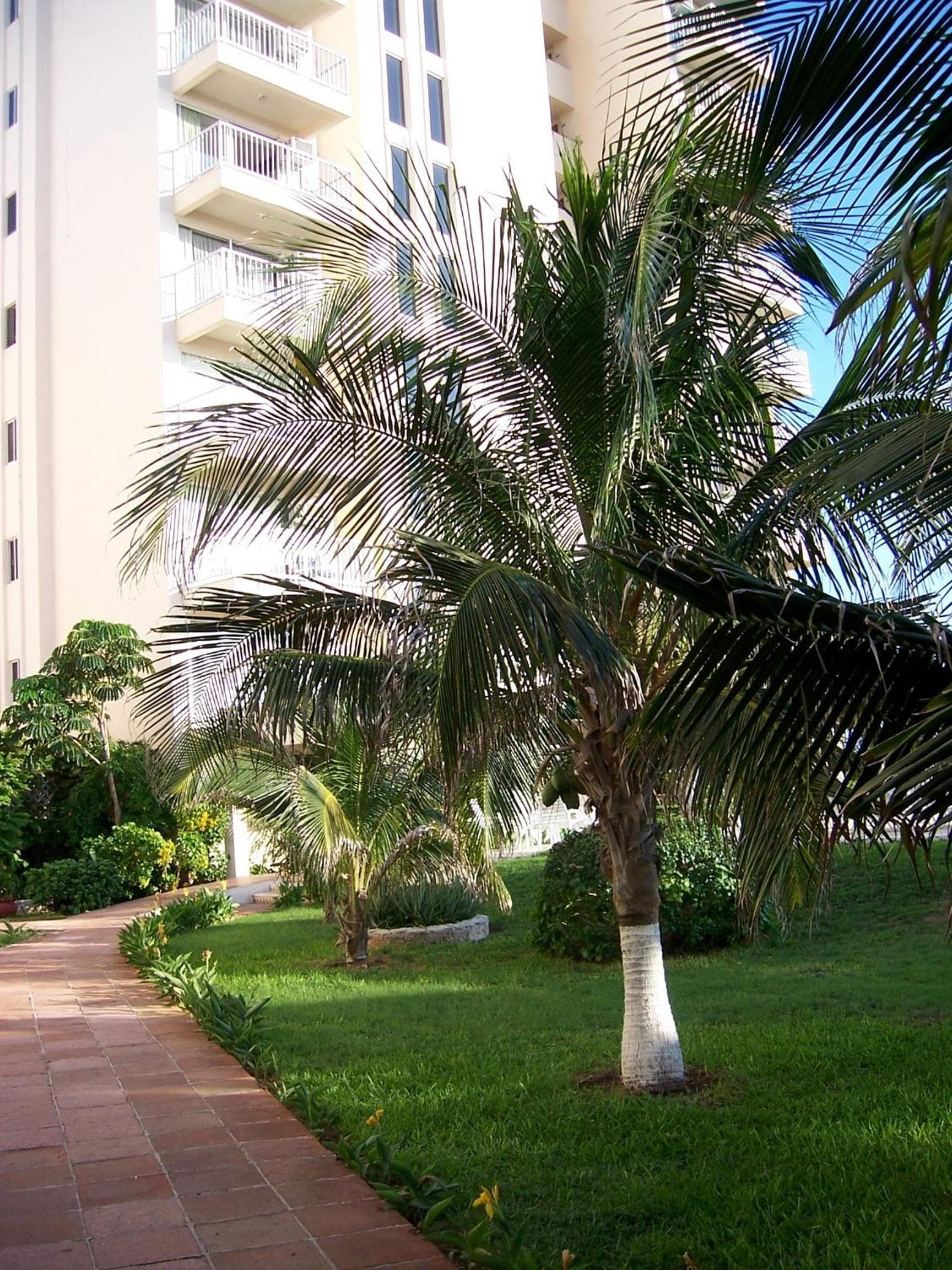 Salvia Cancun Aparts — 7