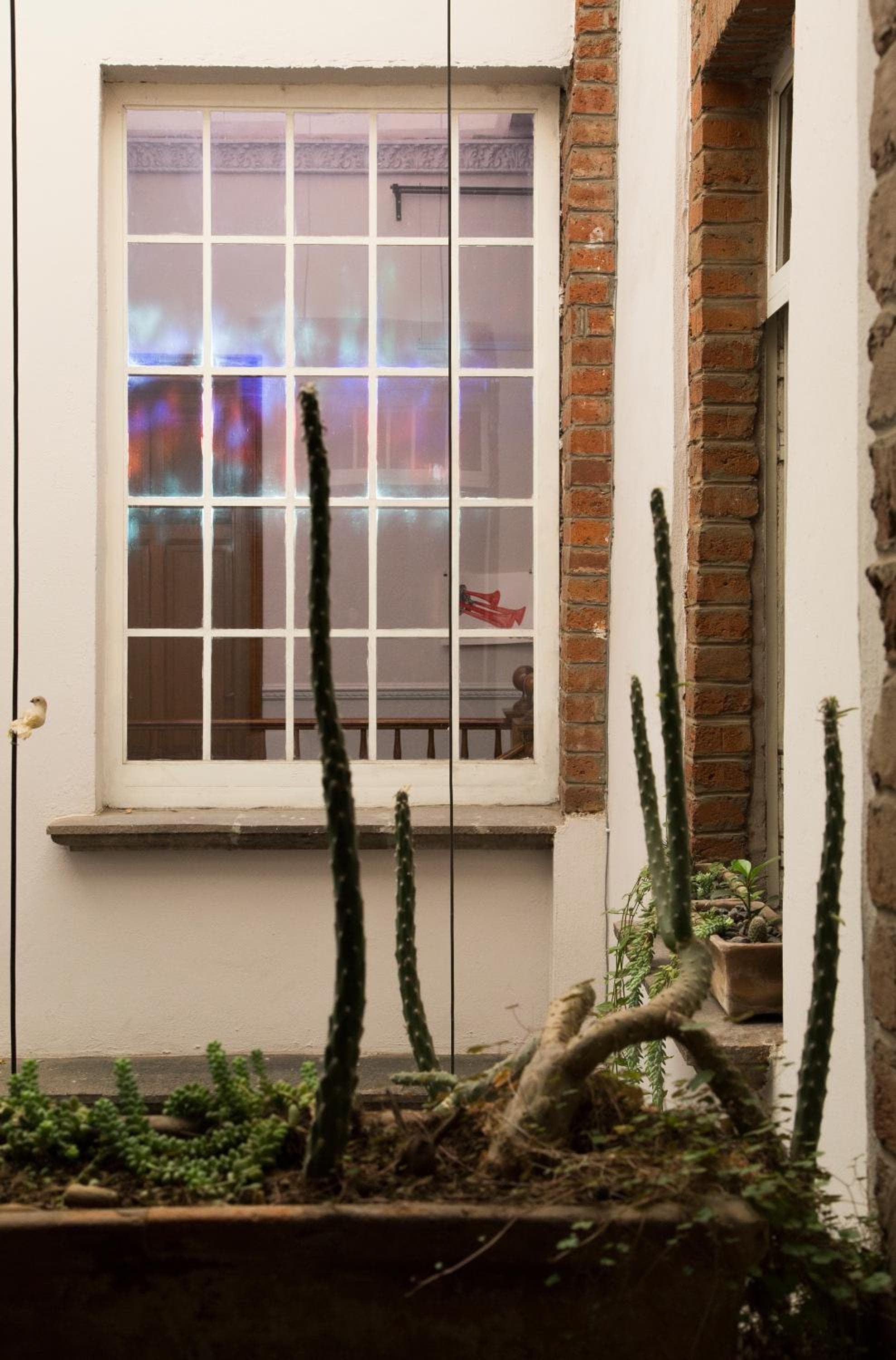 El Patio 77 B&B — 25