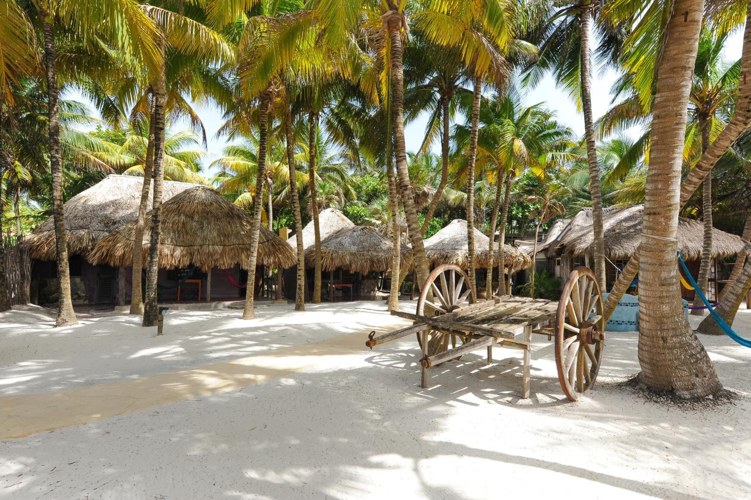 Zamas Hotel — 23