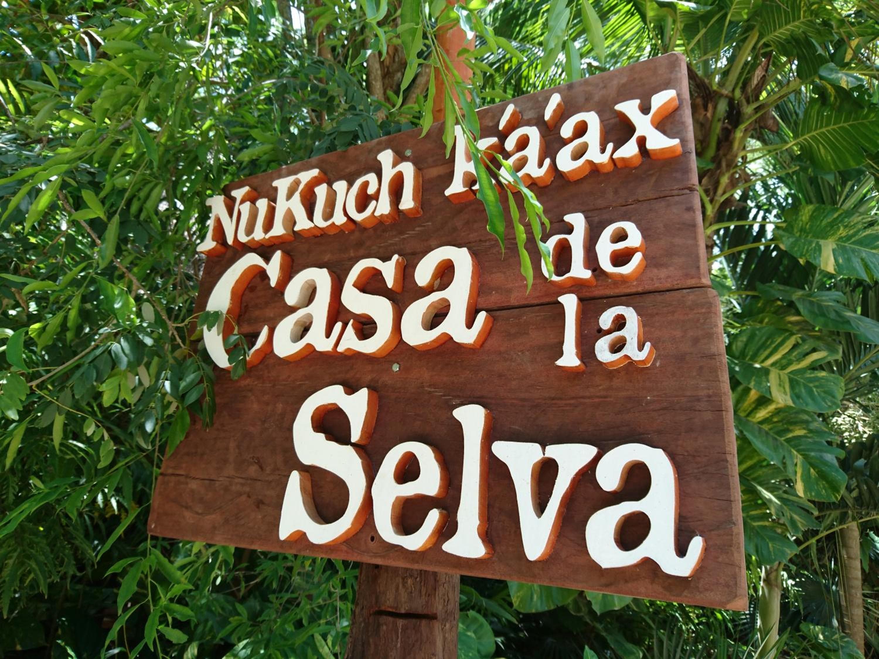 Dschungel Lodge CANCUN FLUGHAFEN — 7