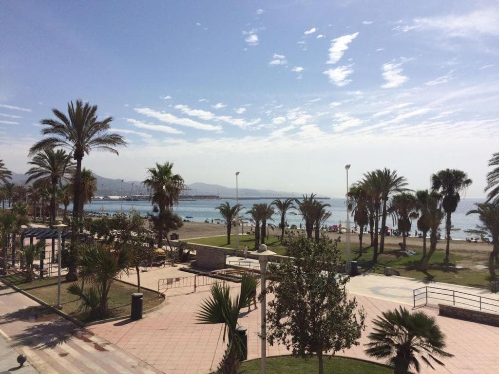 Oasis Pacifico — 8