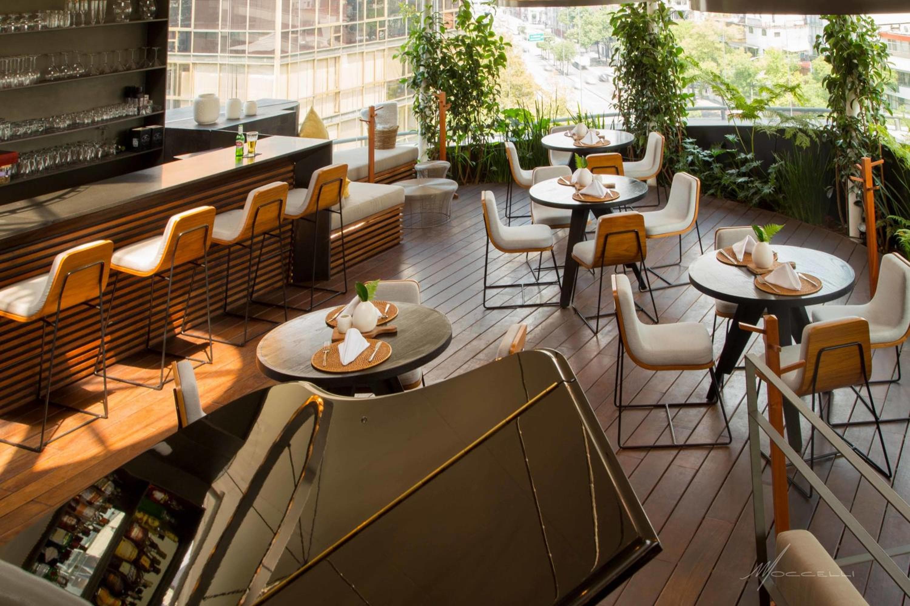 Suites Contempo — 25
