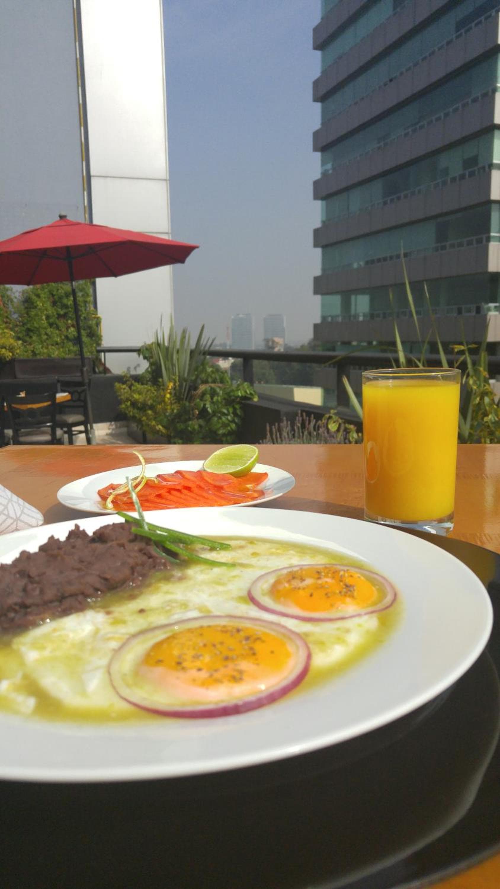 Alteza Polanco — 15