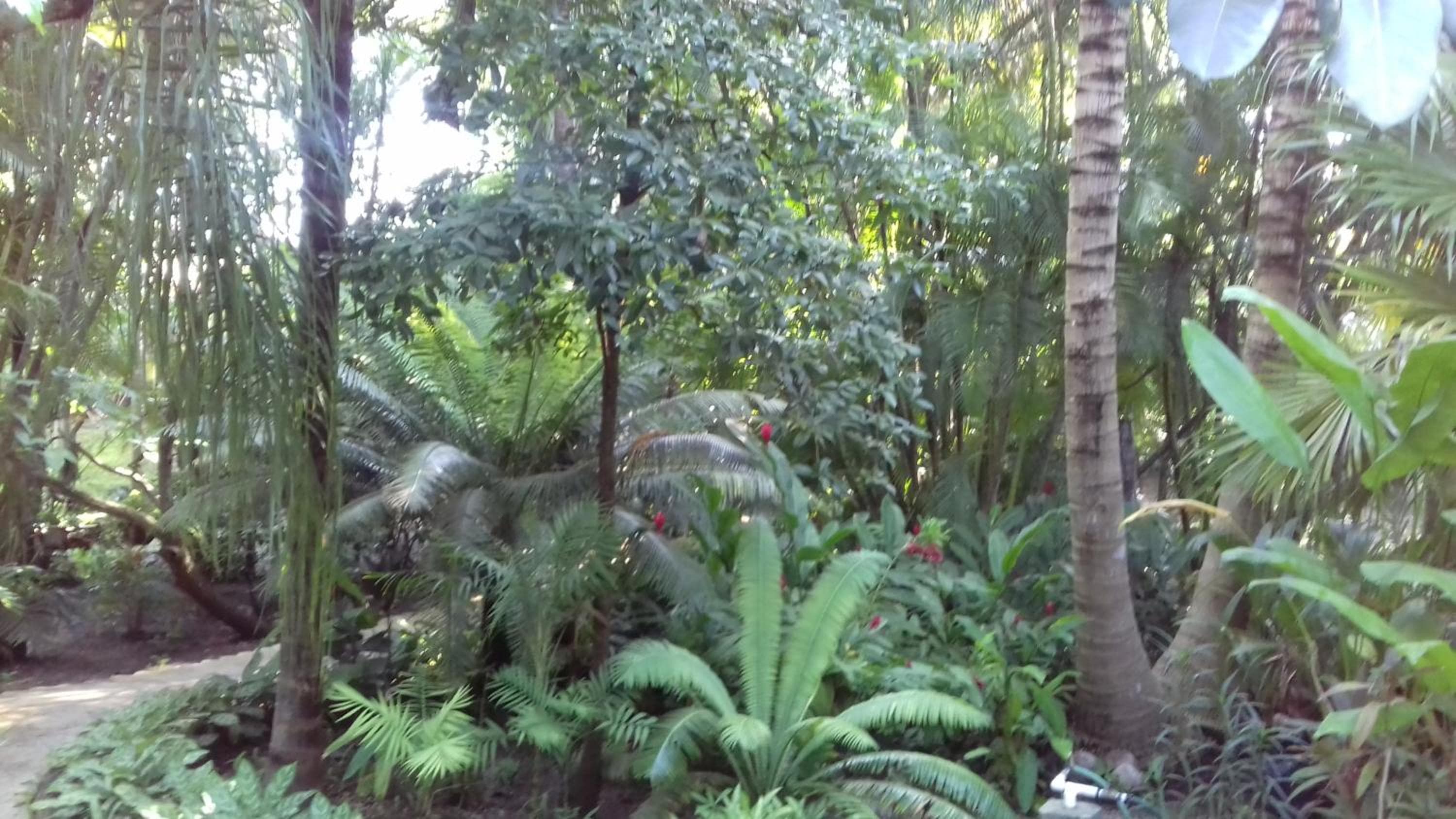 Casa Kin33 — 16