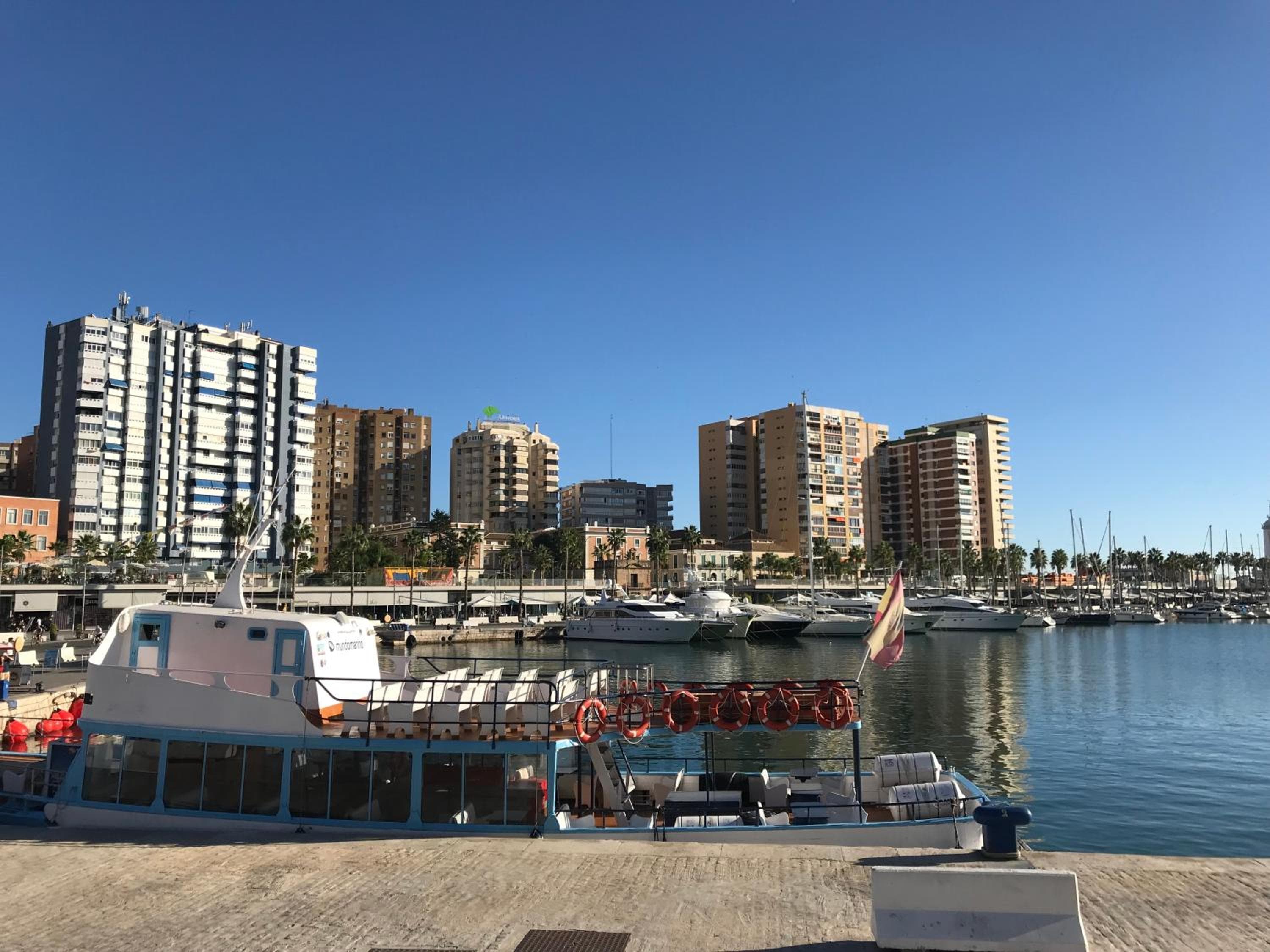 Malagueta Blue — 21