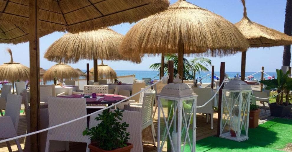 Oasis Pacifico — 6