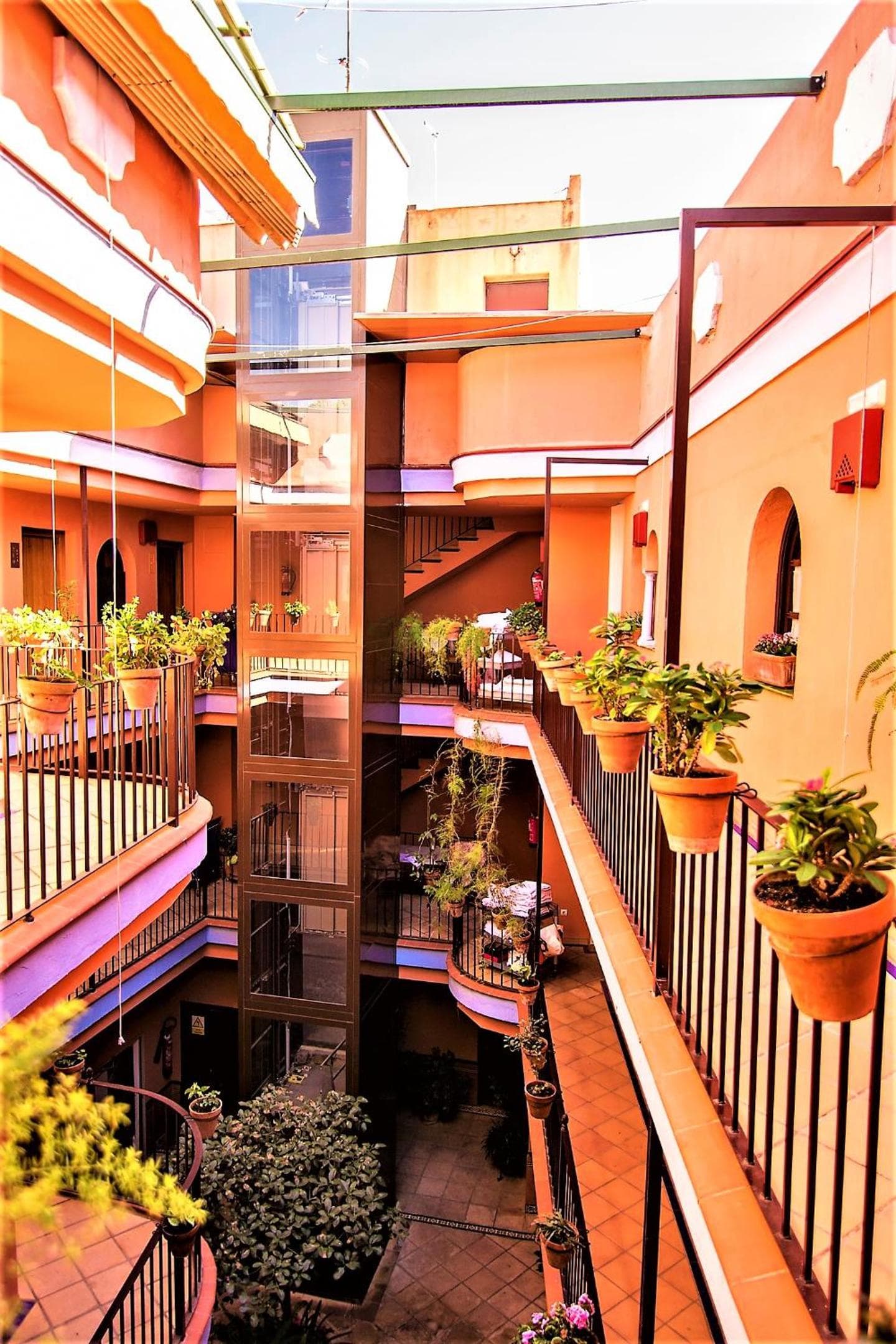 Patio de La Alameda — 23