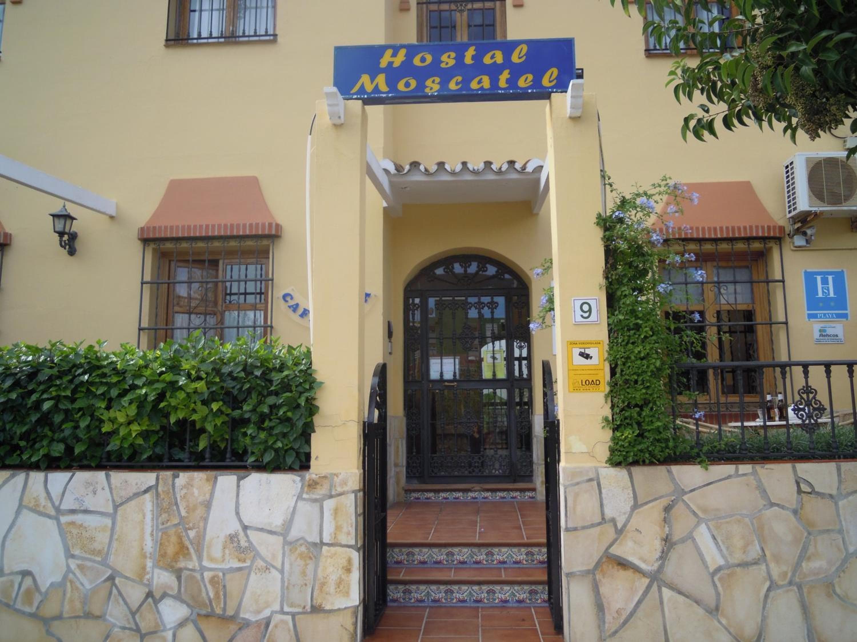Hostal Moscatel — 1