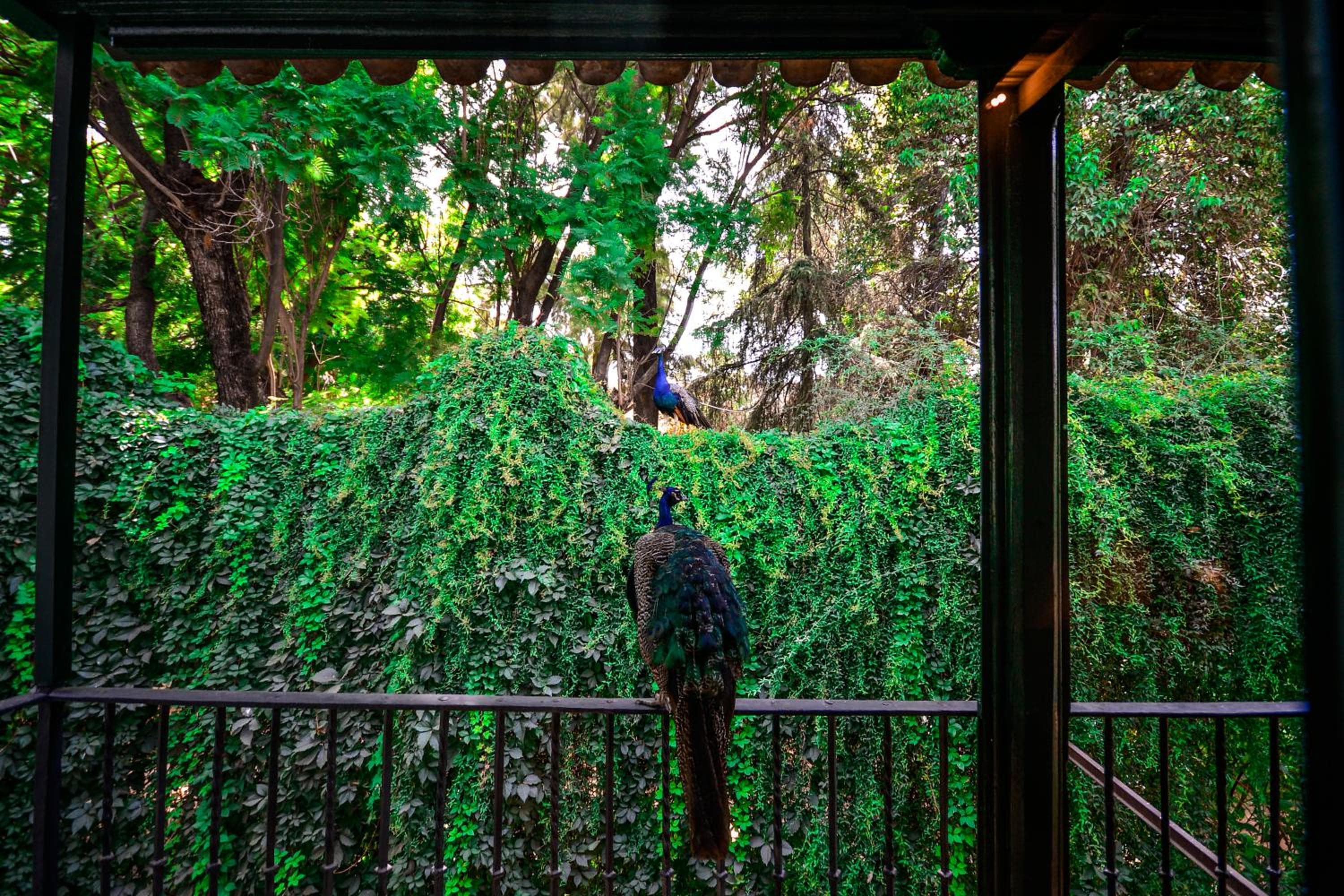 Hotel Legado Alcazar — 26