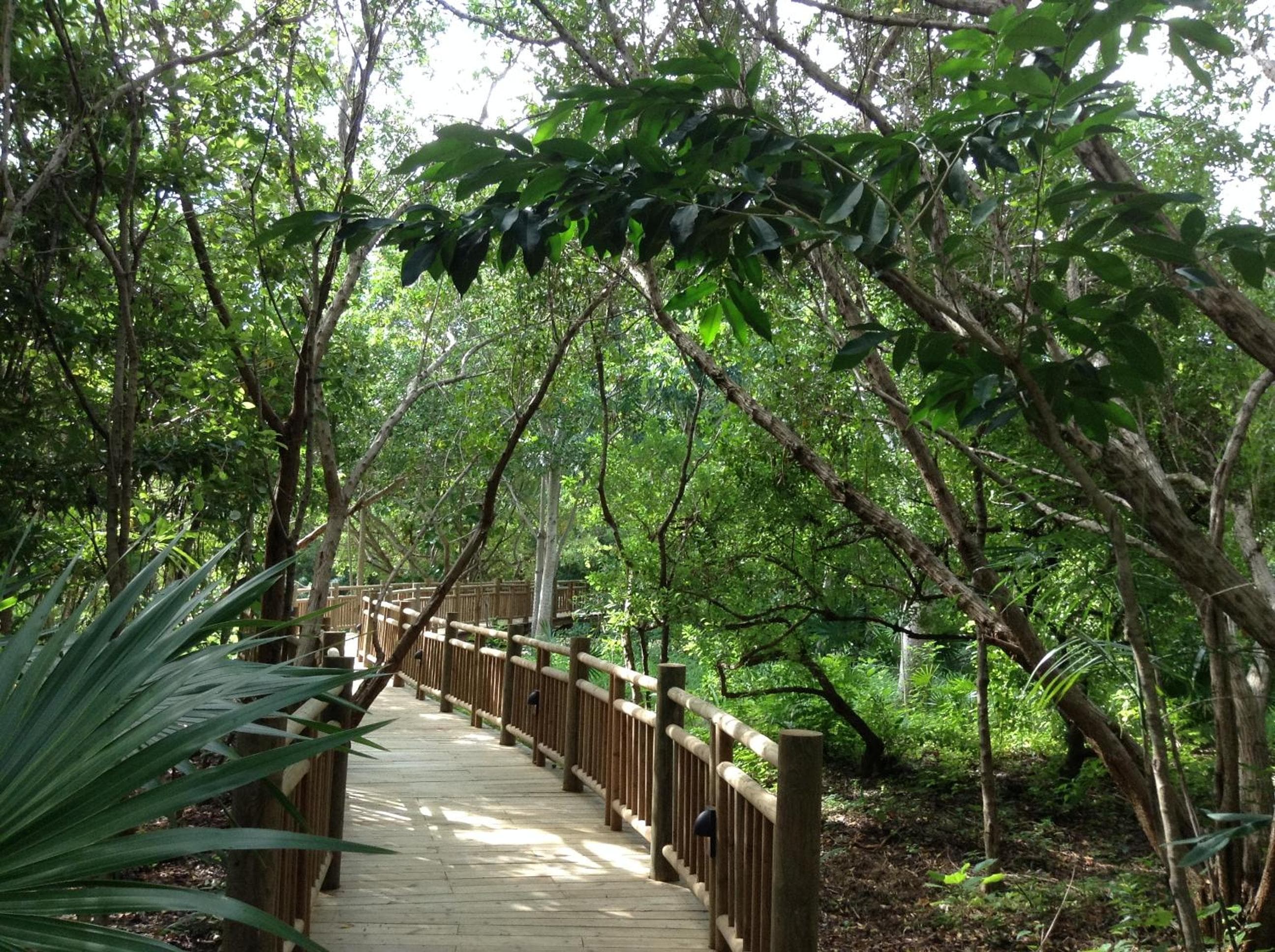 Suite al Mayan Palace Vidanta Resort Riviera Maya — 19