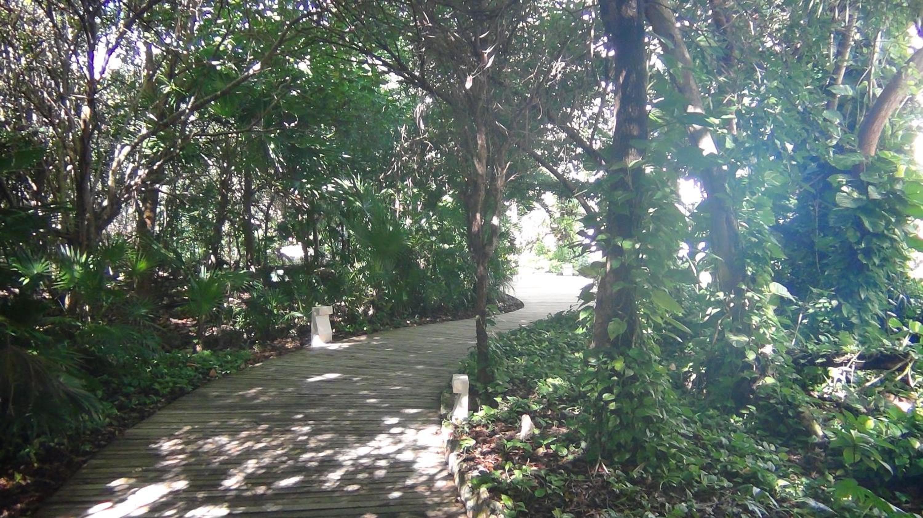 Suite al Mayan Palace Vidanta Resort Riviera Maya — 20