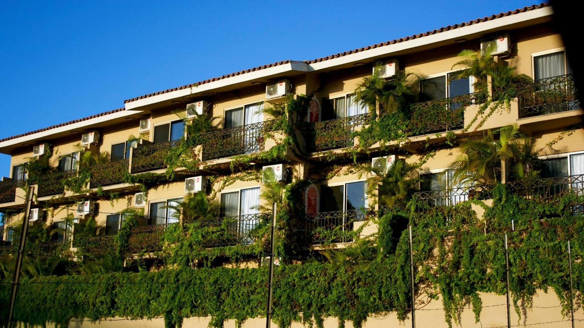 Hotel Cabo Vista solo per adulti — 18