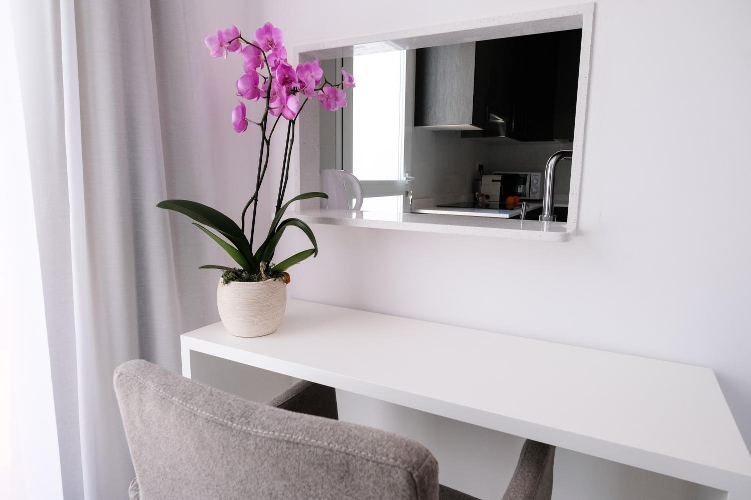 Sal Mar Suites — 16