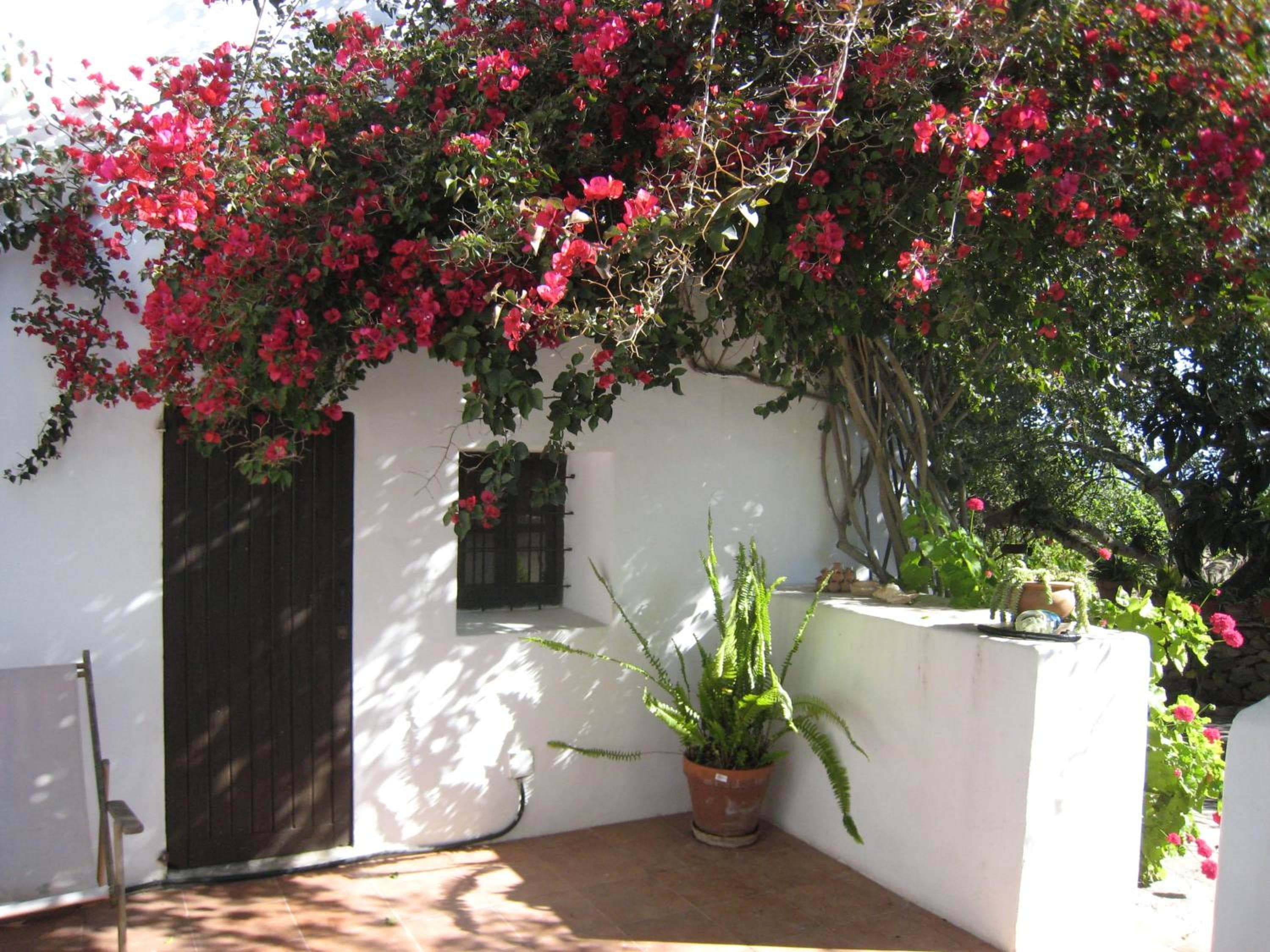 Charming Ibiza House — 6