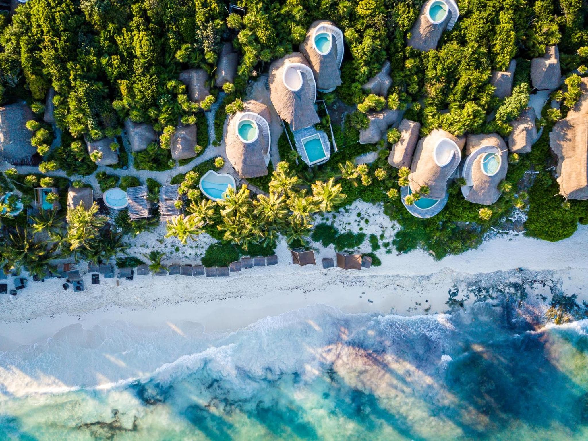 Progetto Papaya Playa — 14
