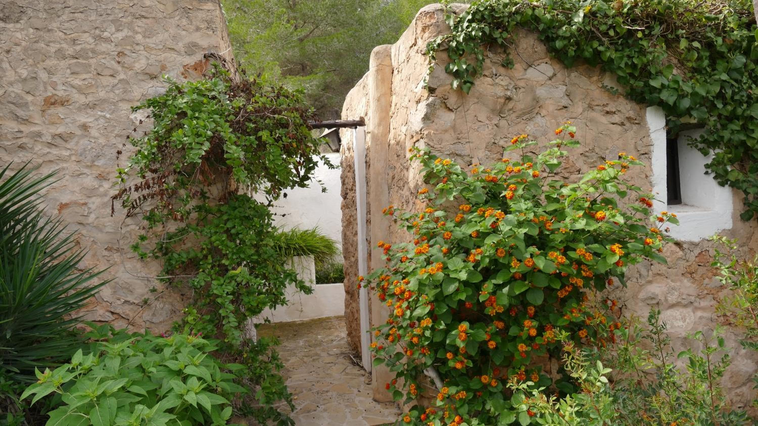Charming Ibiza House — 16