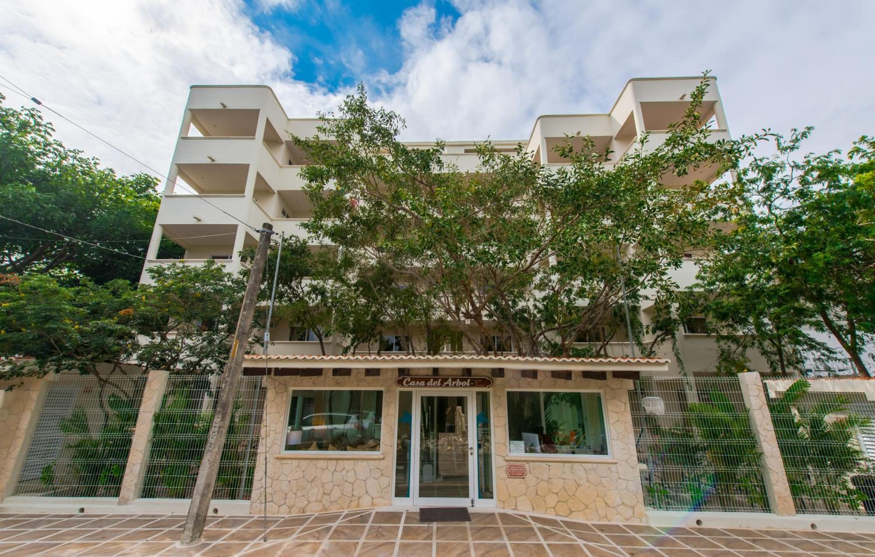 Condo Casa del Arbol — 6