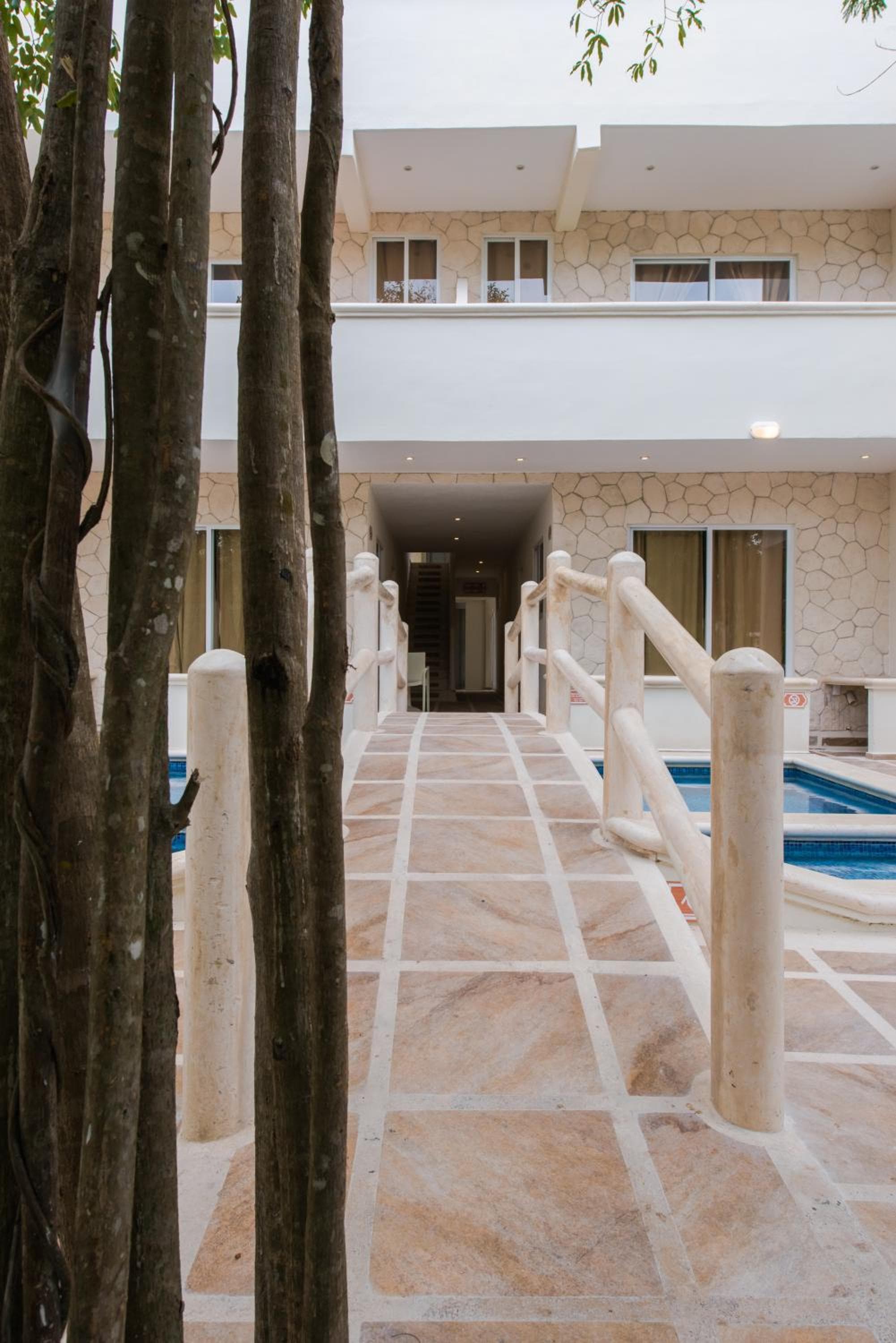 Condo Casa del Arbol — 7