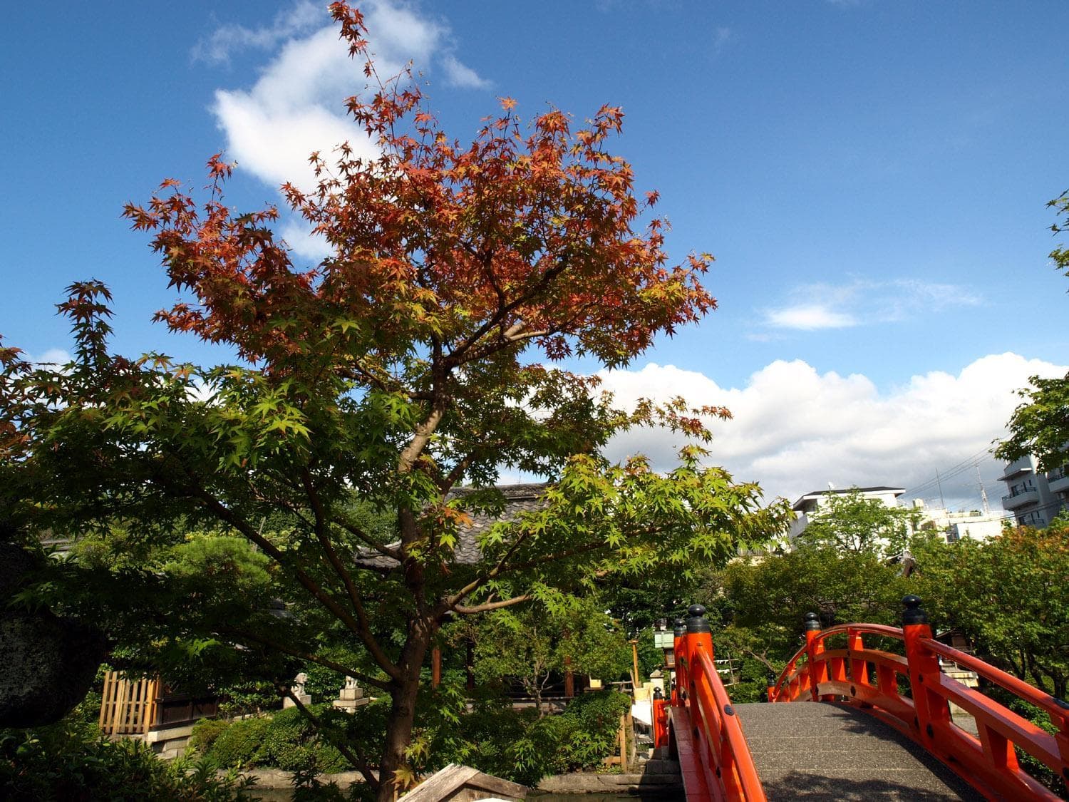 Hotel Resol Kyoto Kawaramachi Sanjo hotel, Chuo-ku Kawaramachi Sanjo Sagaru Daikokucho 59-1, Kyoto, Japan — photo 102