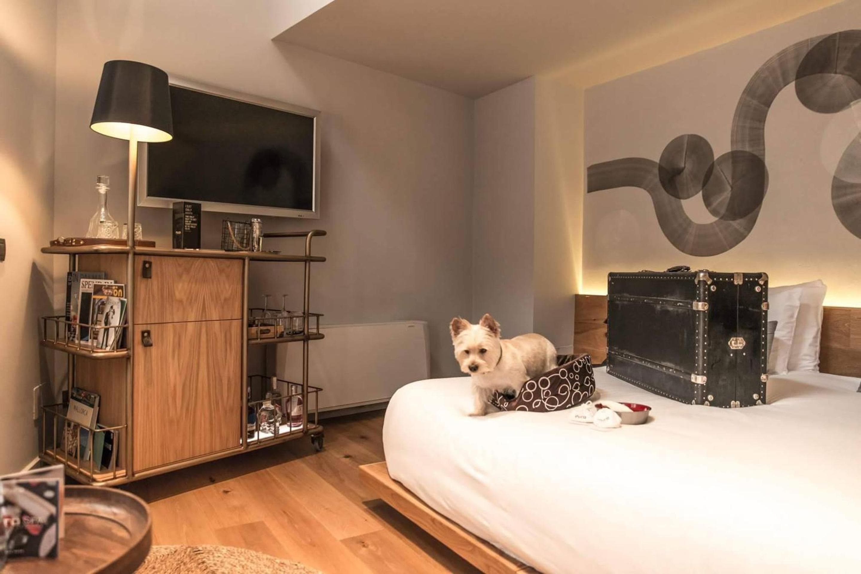 Puro Hotel Oasis Urbano — 3