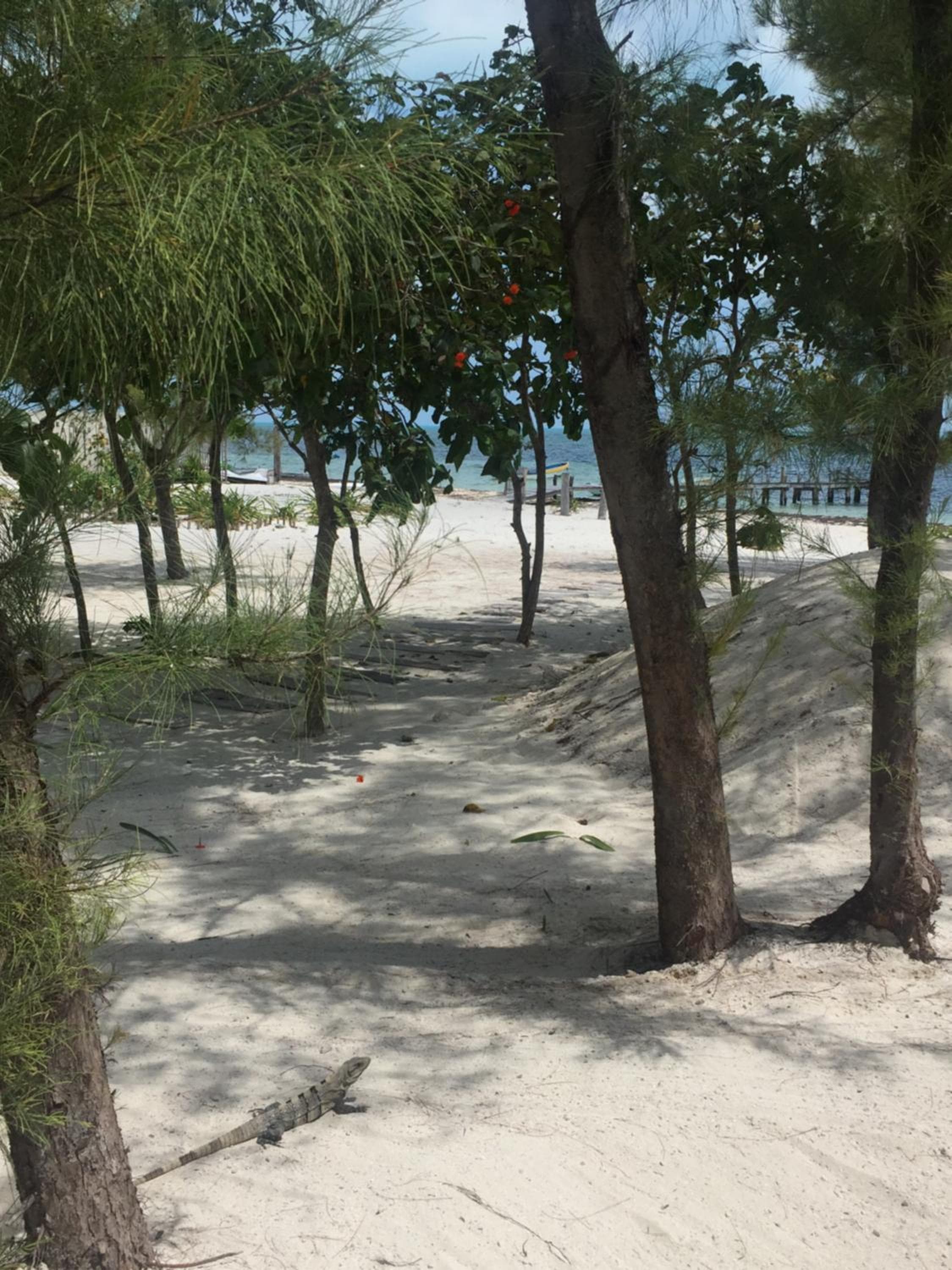 Sea by C Apartments — 18
