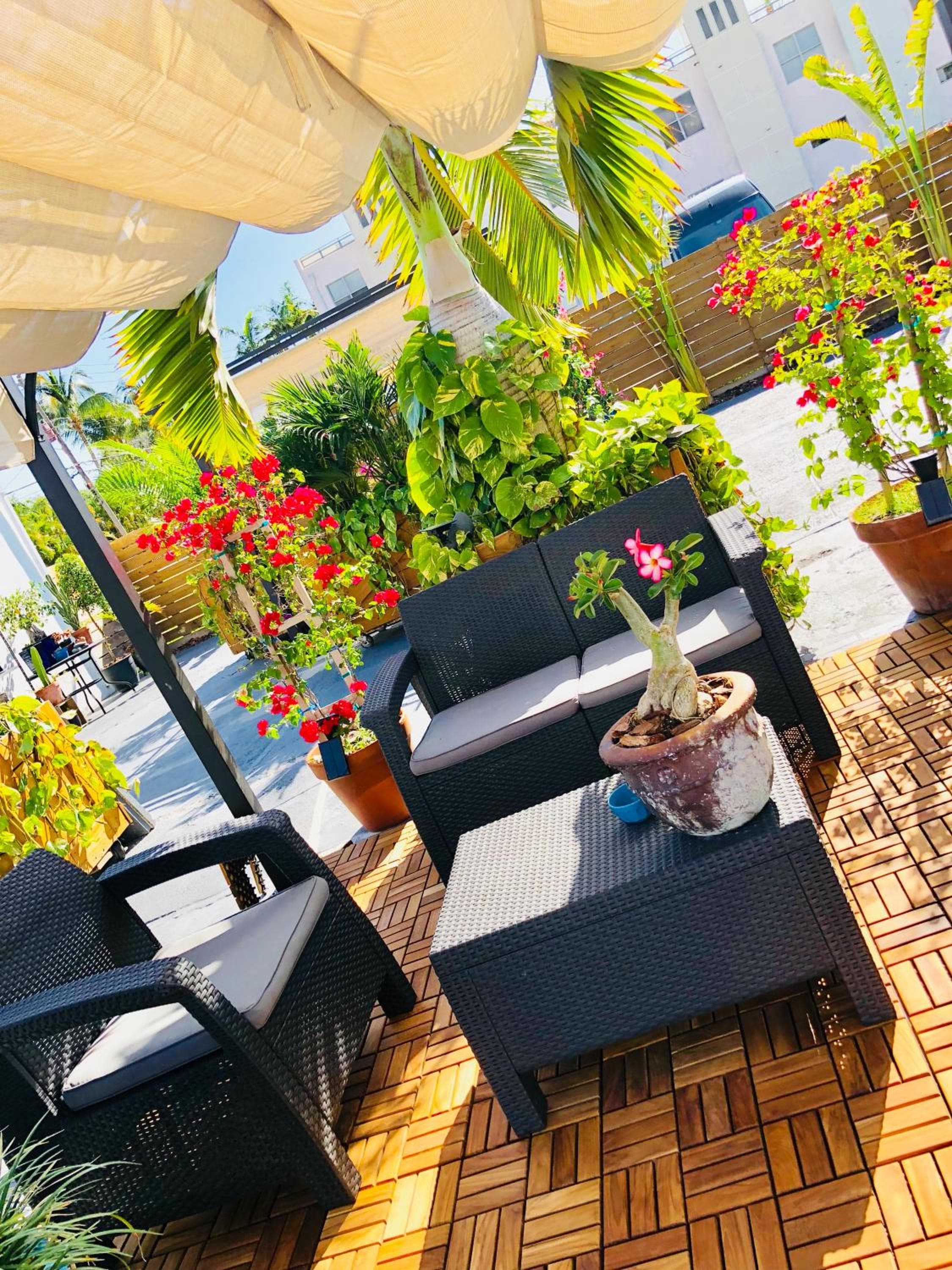 Oasis Hotel — 16