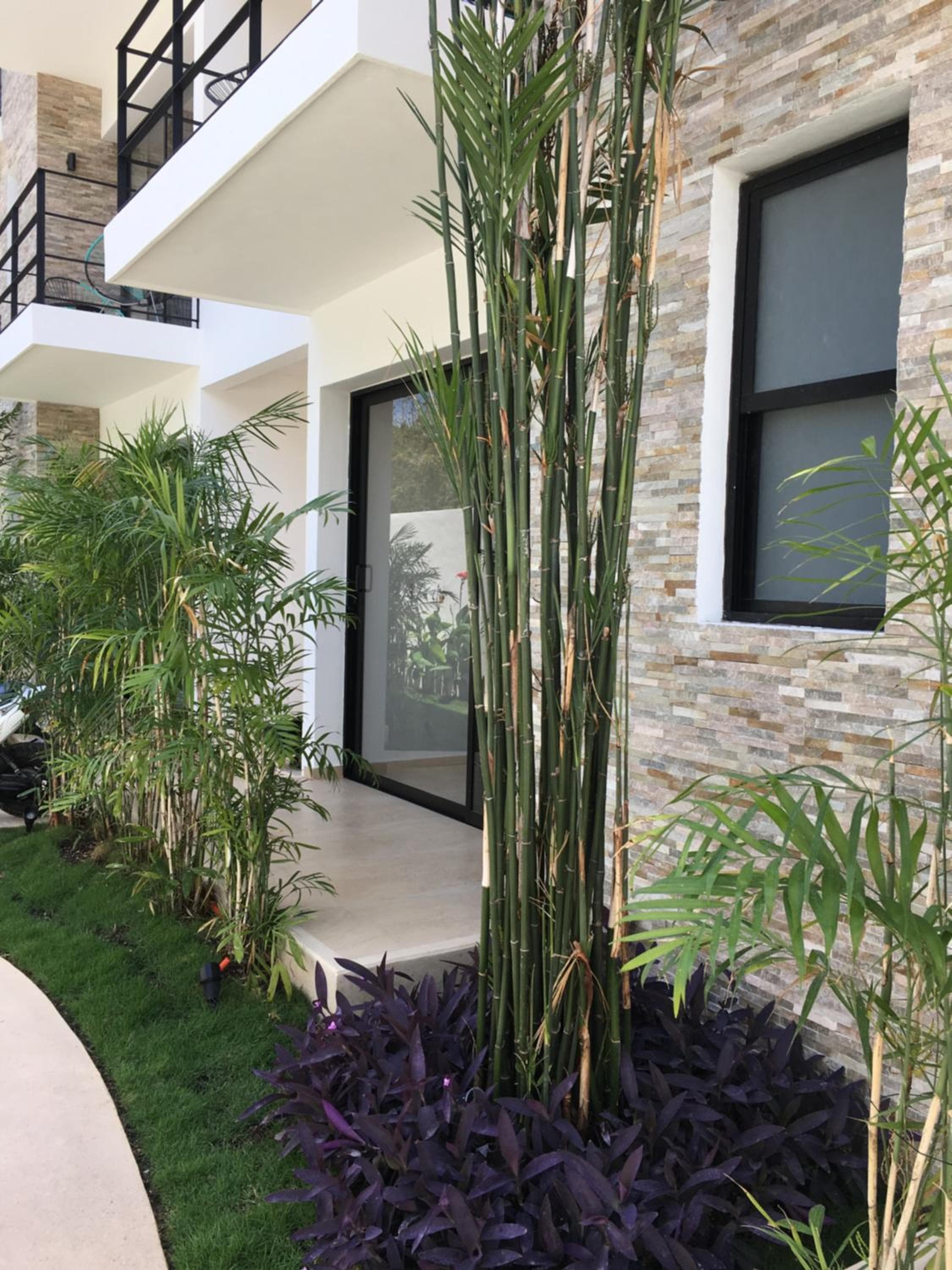Yaax Kiin Tulum — 26