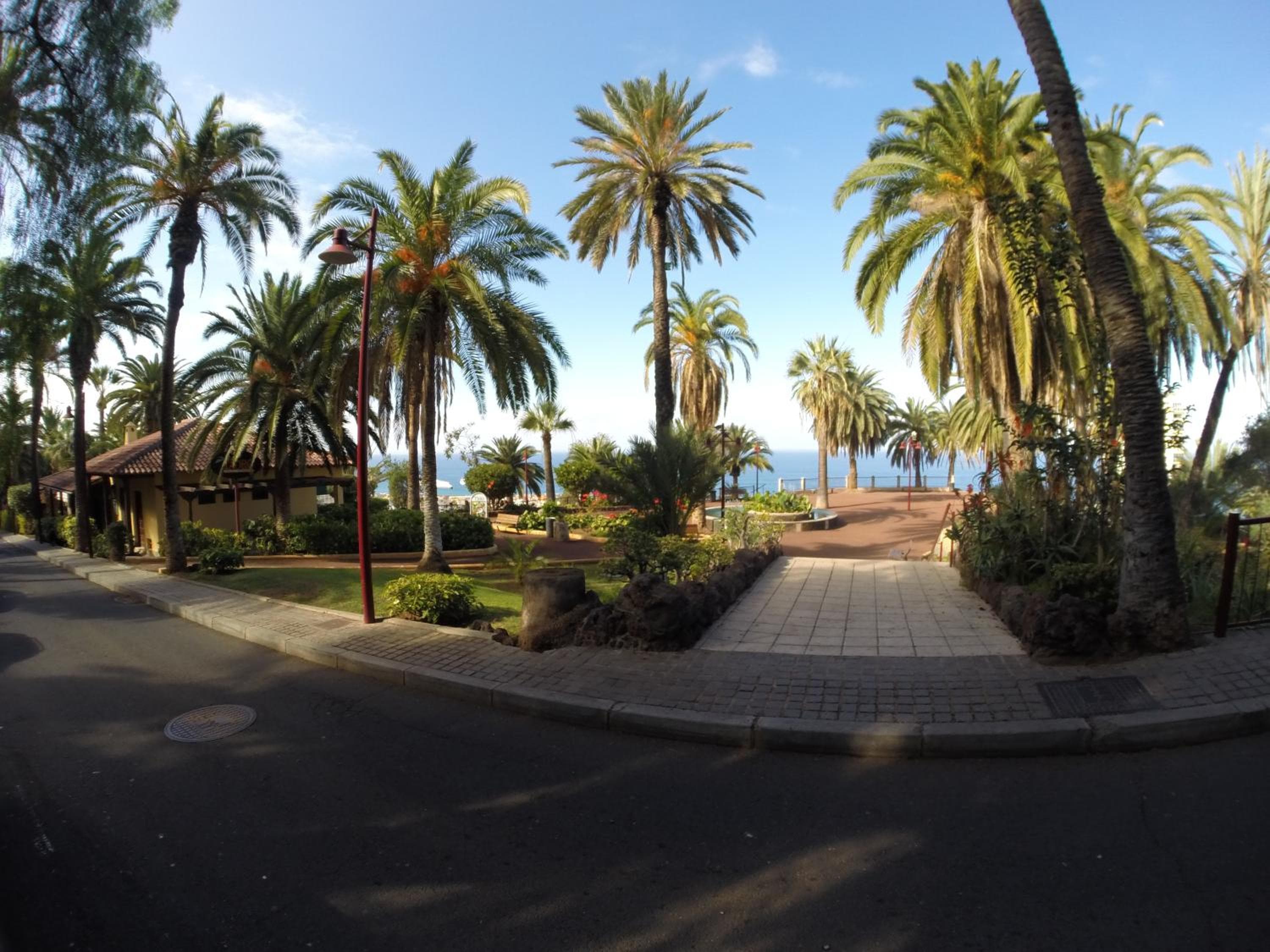 Apartamentos Estudio Nuevo en Puerto de la Cruz — 5