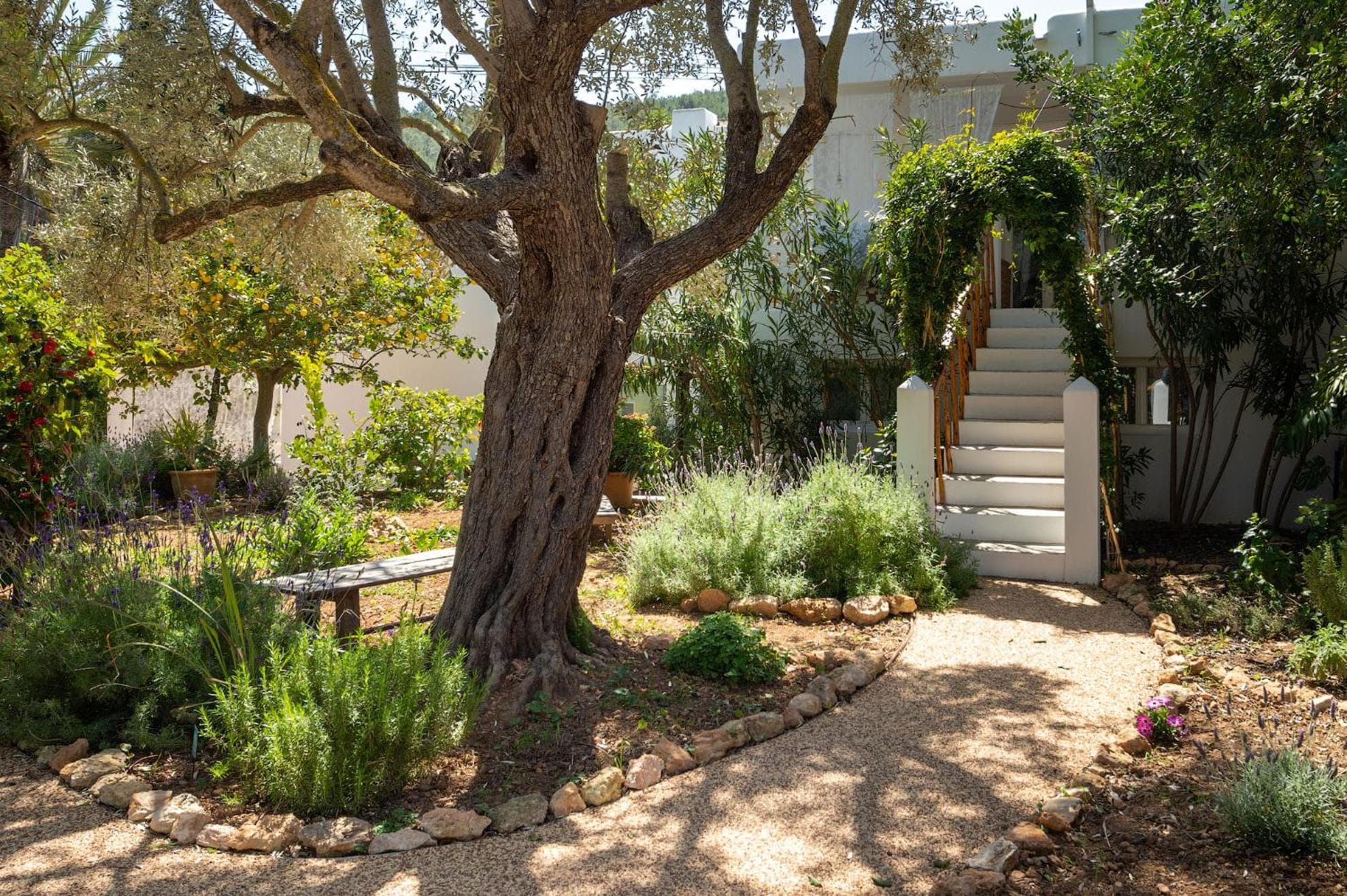 Valley Club Ibiza - Boutique Agroturismo — 14