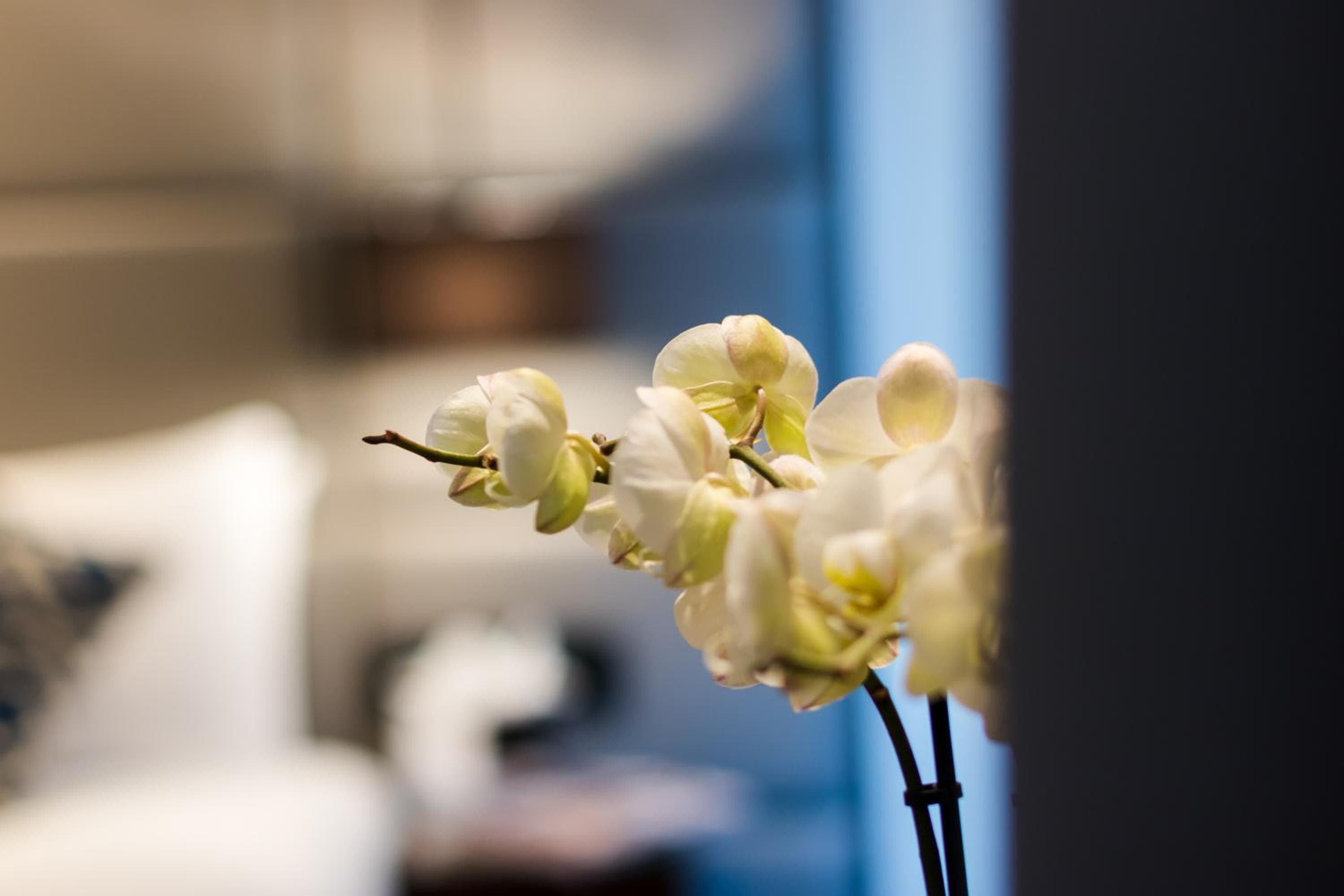 Montcalm Chilworth Townhouse — 10