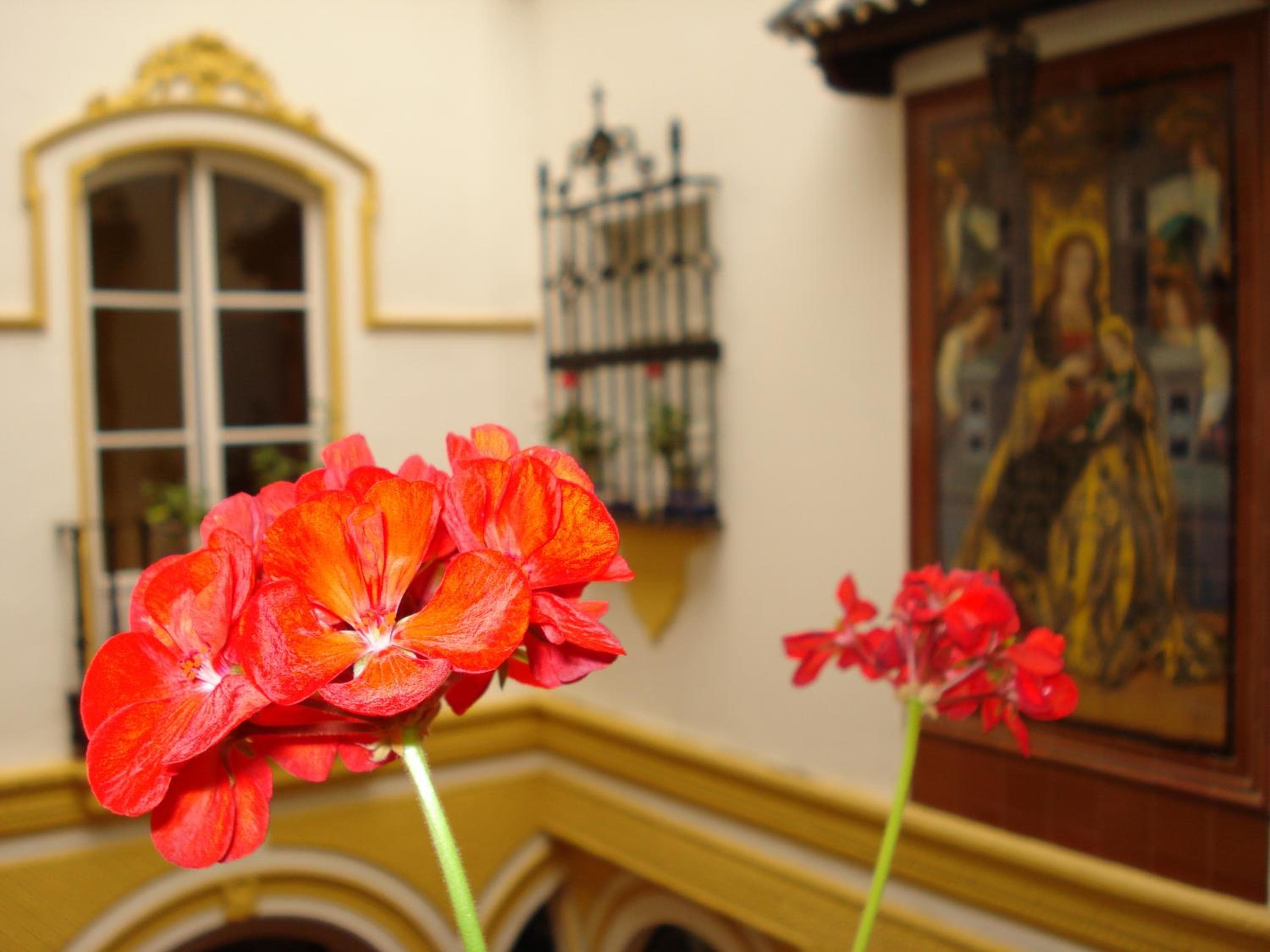 Hotel Abanico — 27
