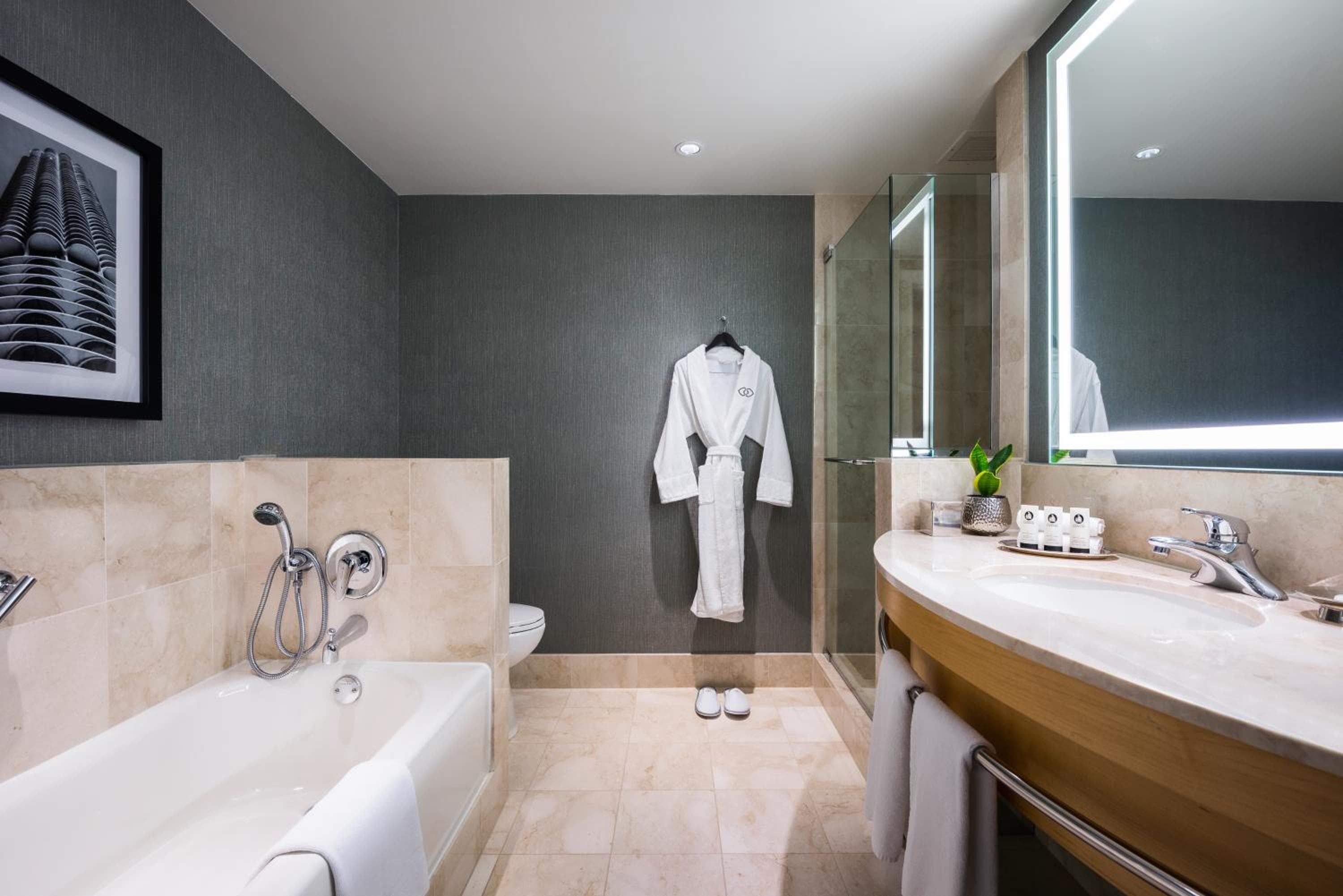 Sofitel Chicago Magnificent Mile hotel, 20 East Chestnut Street, Chicago, United States — photo 119