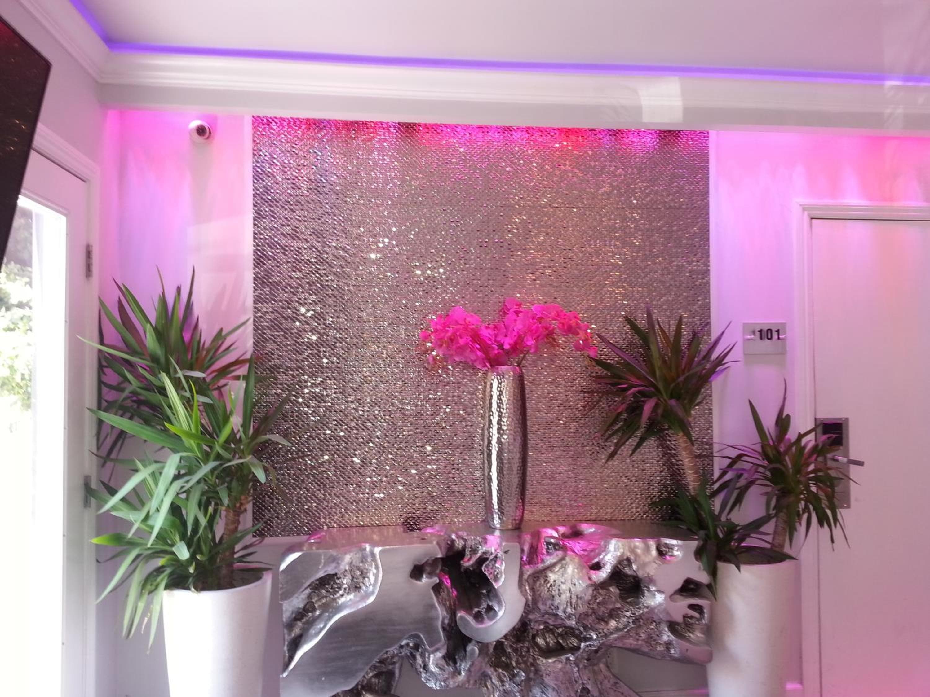 Hotel VIP di Hollywood — 13