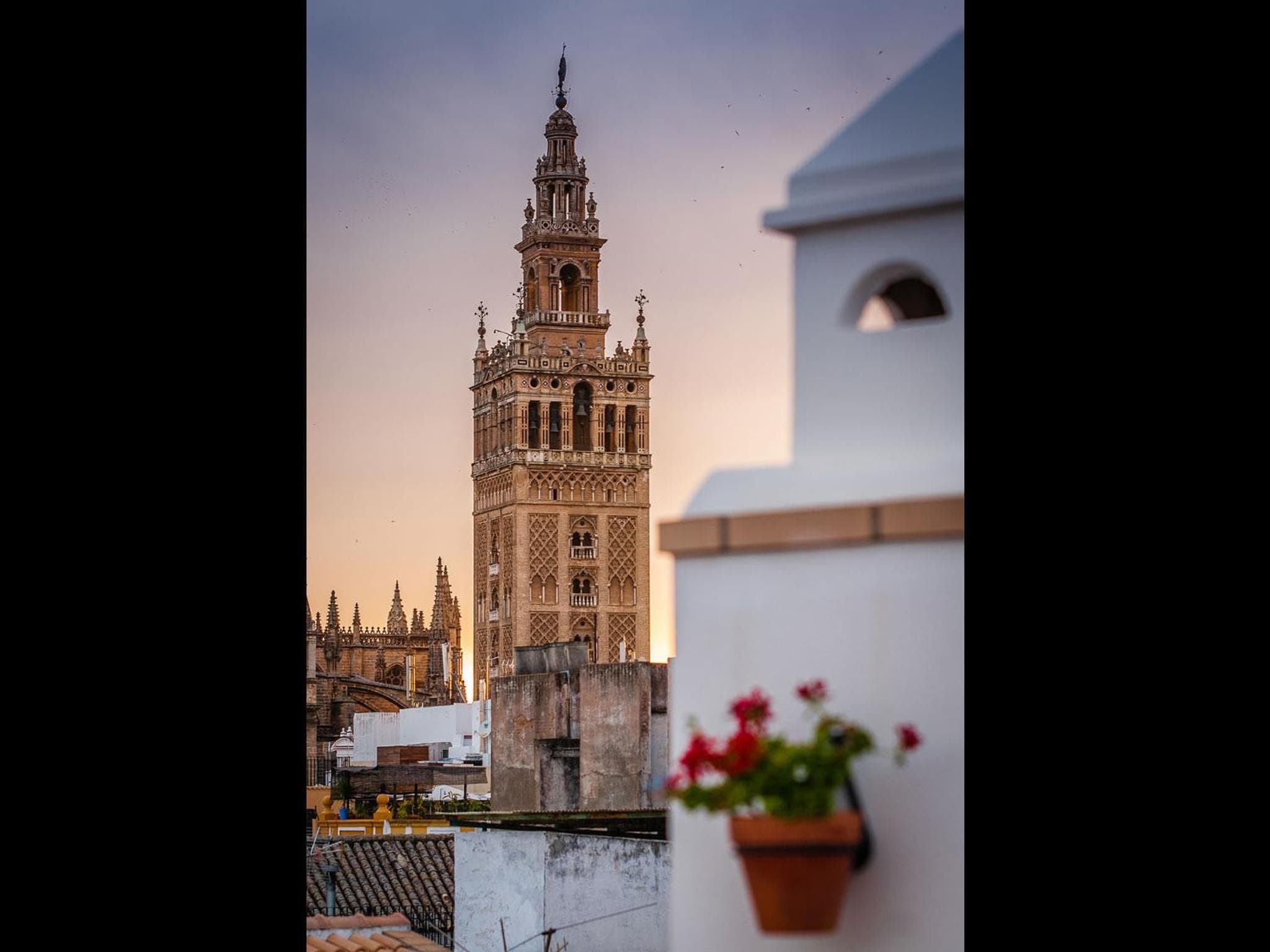 Hotel Murillo — 26