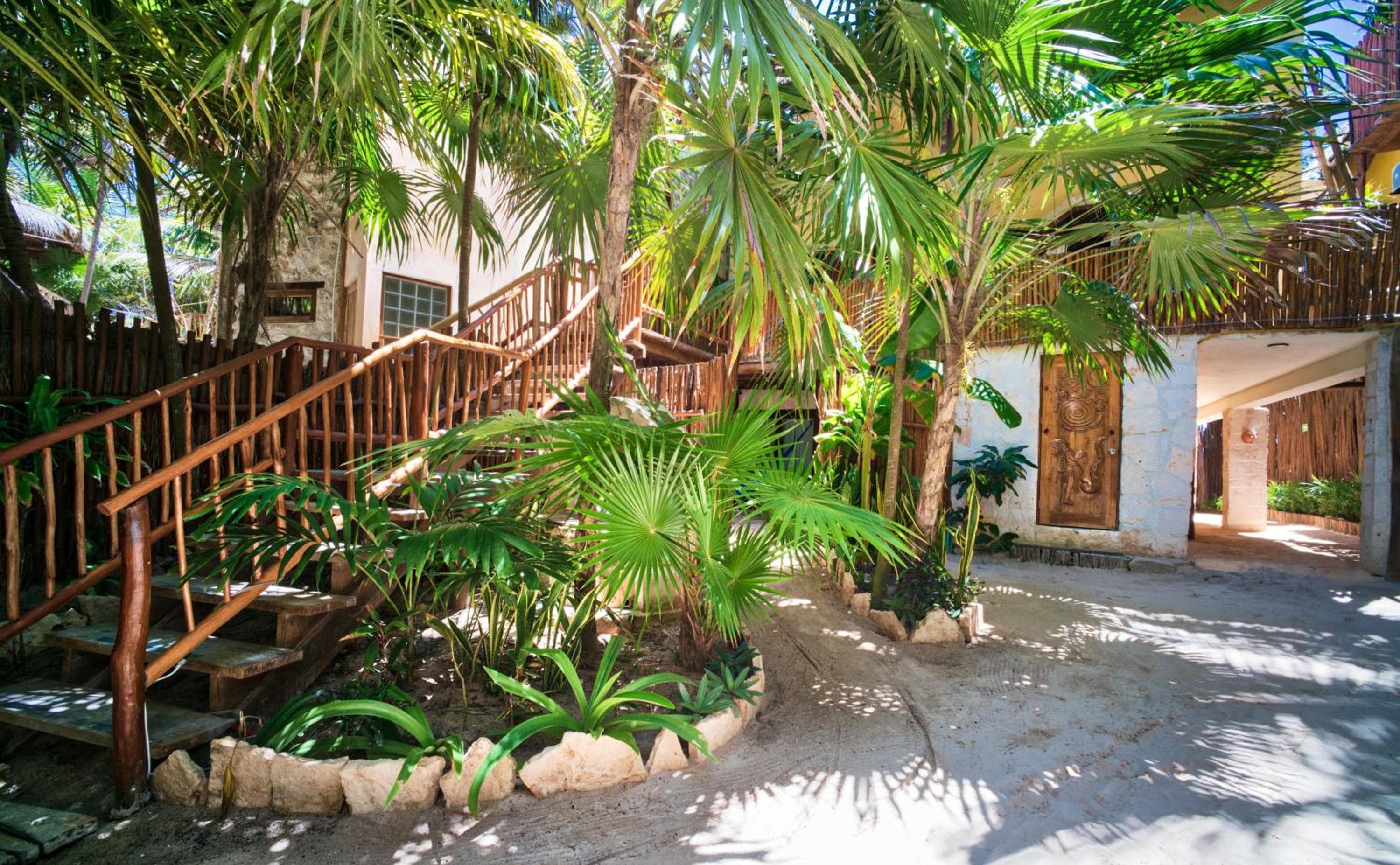 Hotel ecológico frente al mar Playa Canek — 10